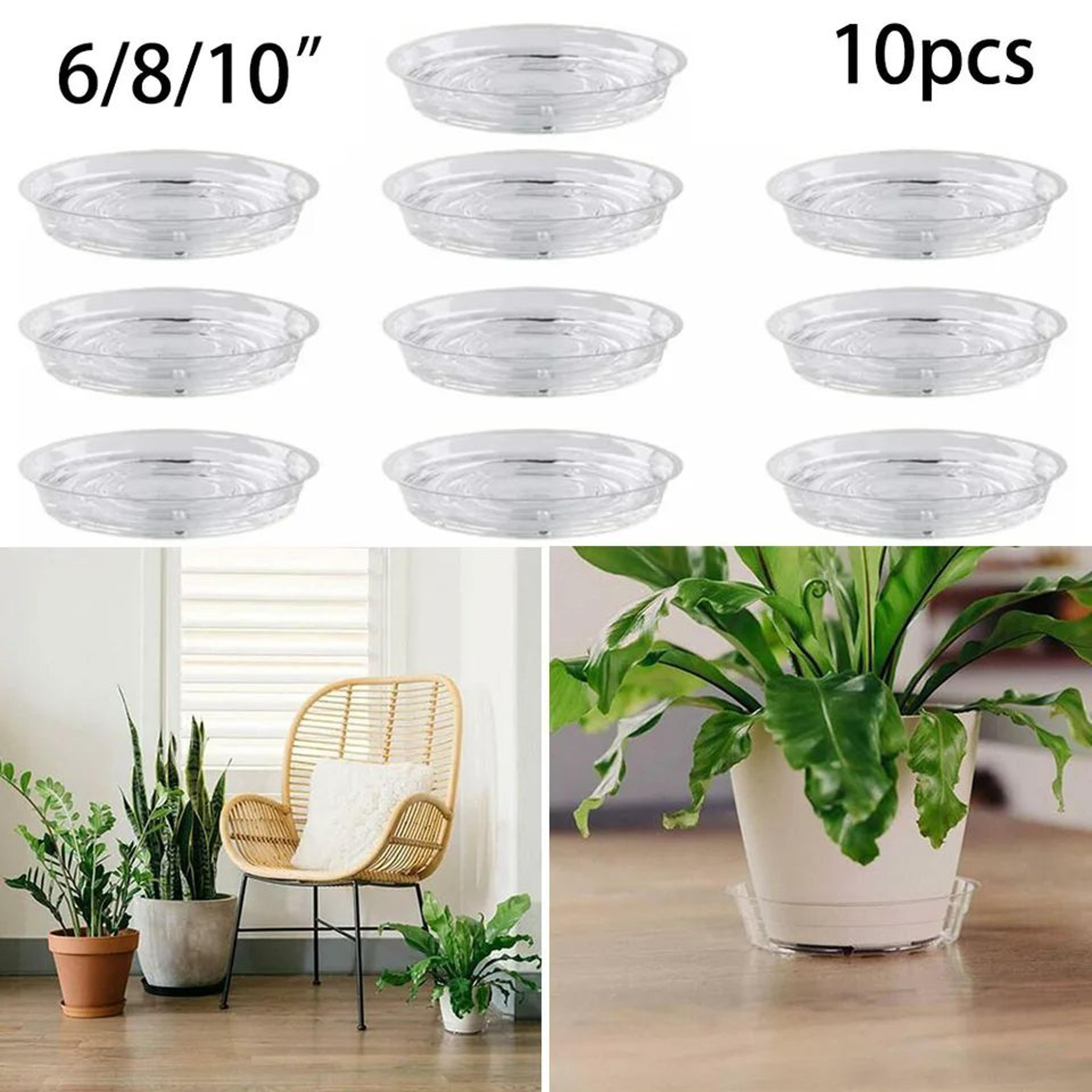 10 pcs clear plastic plant saucer set –round flower pot drip trays, pet plant saucers for indoor plants, snack & storage