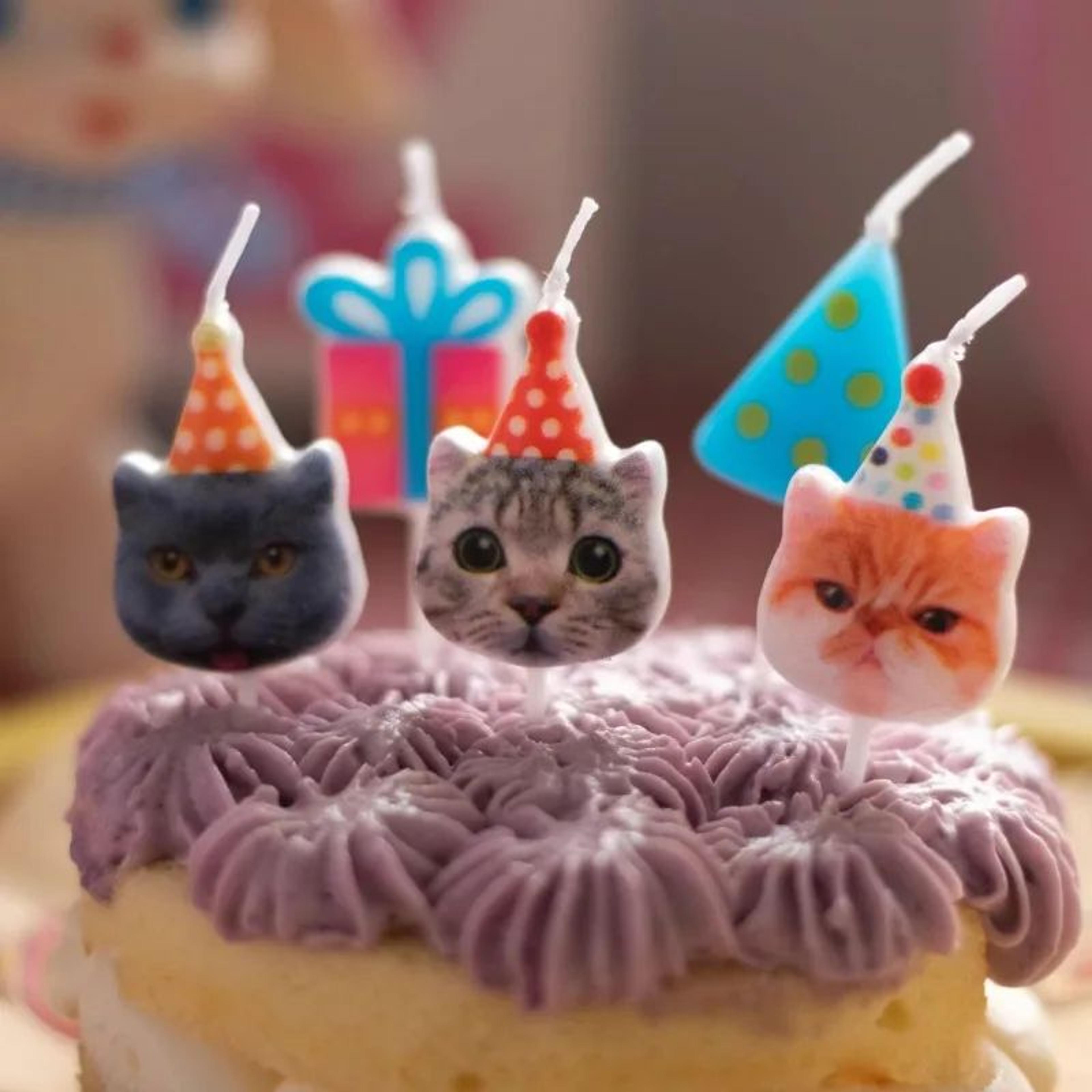 cat birthday cake candles gift box set – cute paraffin wax party cake decorations for pet birthday celebrations