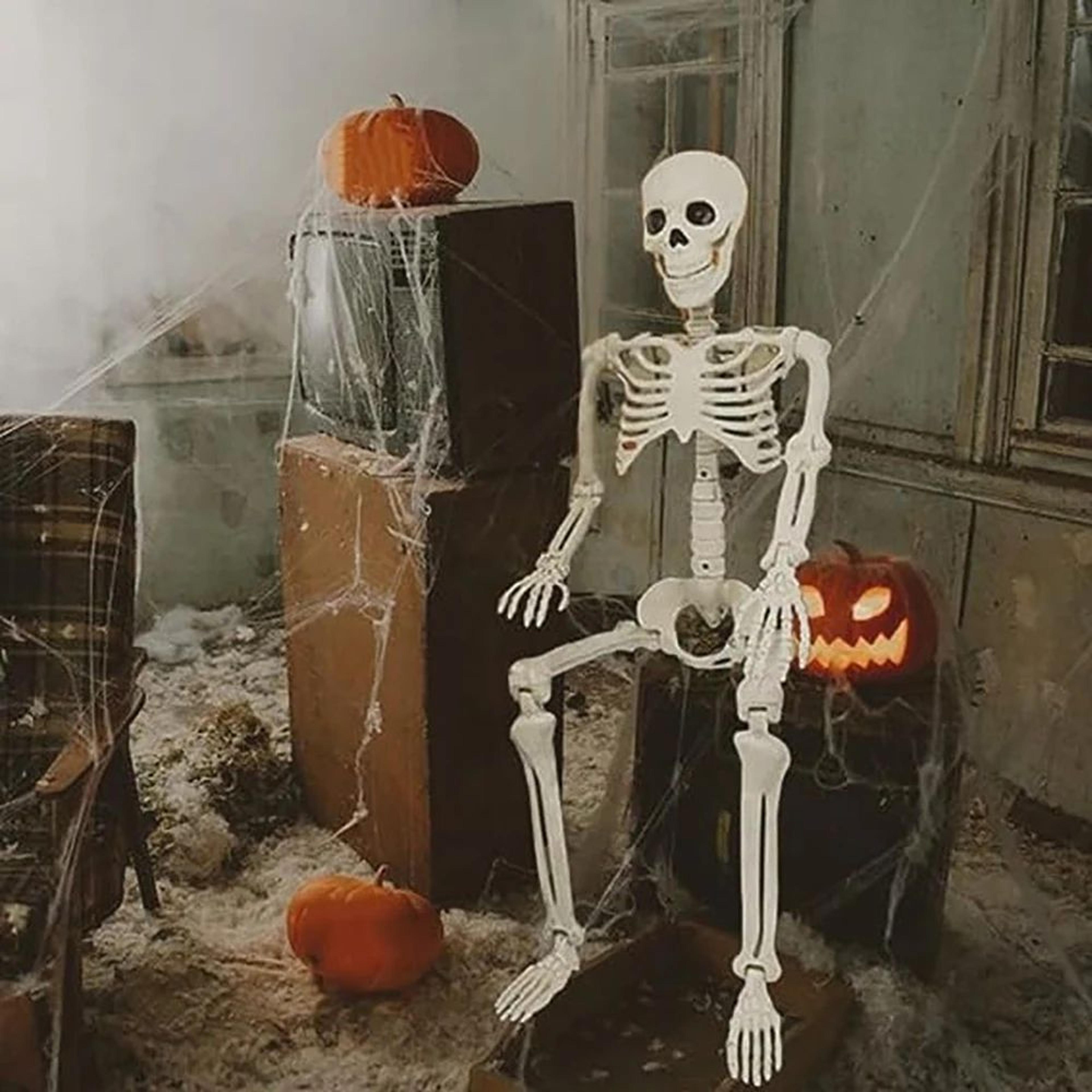 posable human skeleton halloween decoration – fake bone horror prop for parties & haunted house decor
