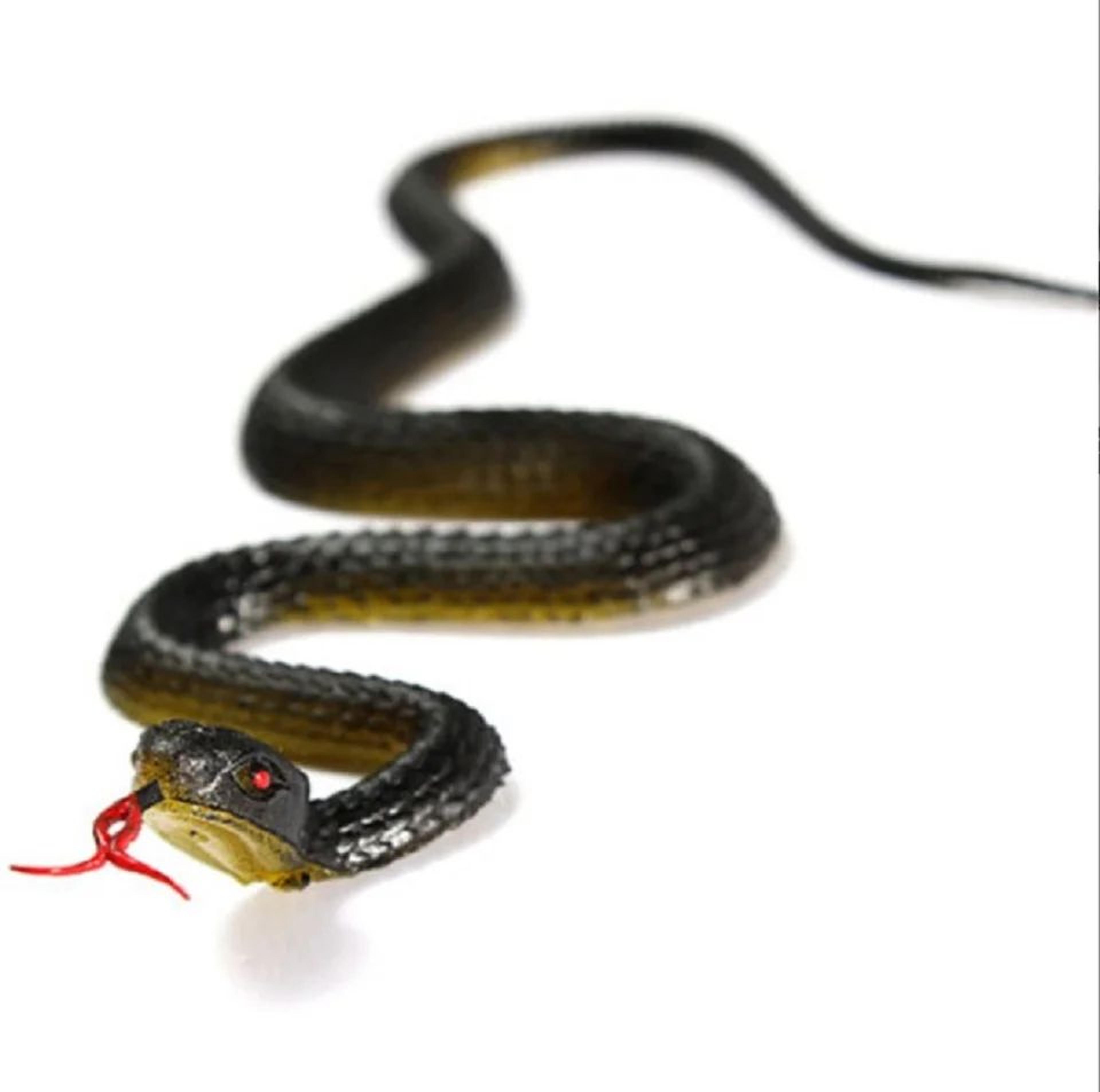 45 cm realistic rubber toy snake – fake anaconda prank toy, halloween decoration & bird deterrent prop