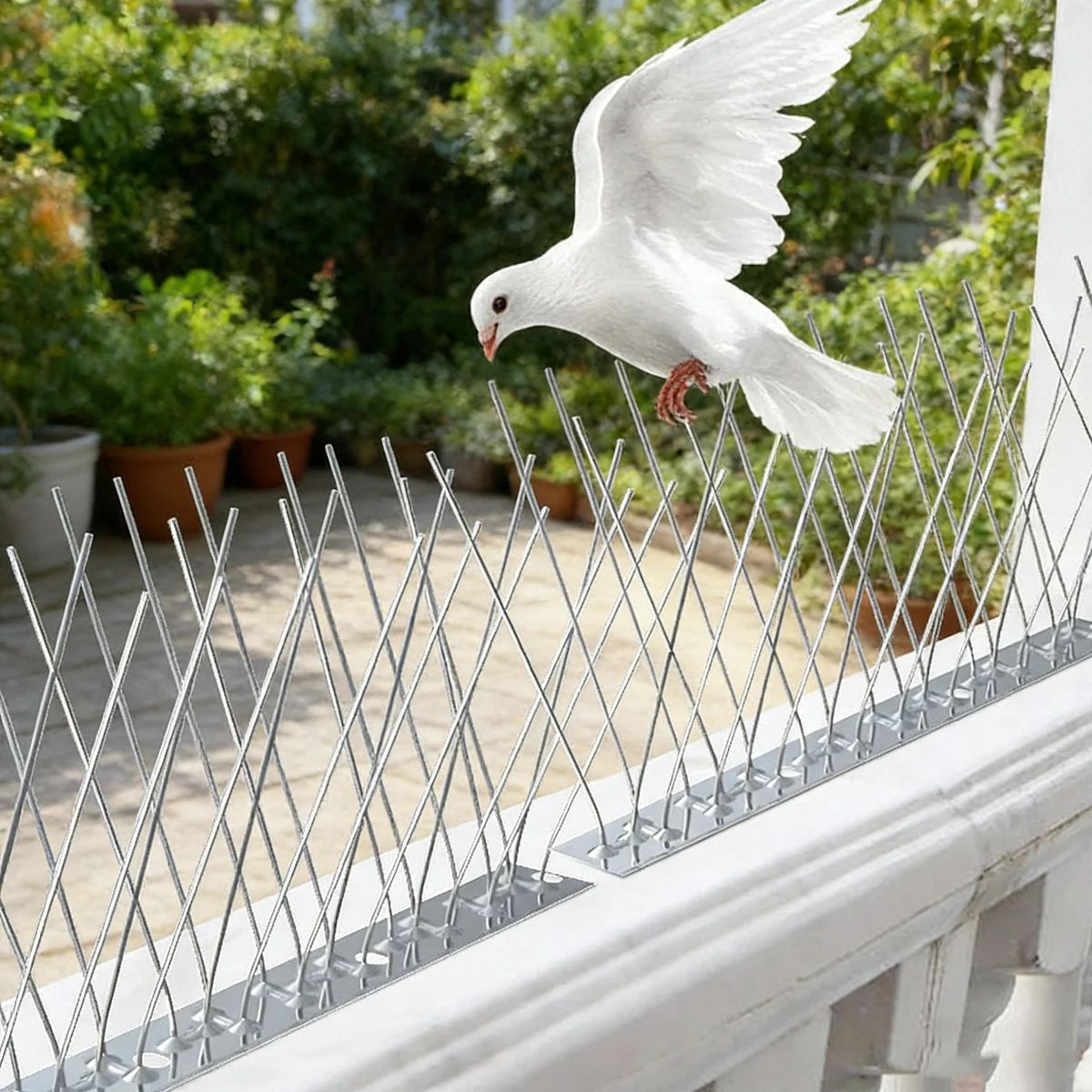 outdoor bird spikes repellent – humane pest deterrent for pigeons, crows & garden protection
