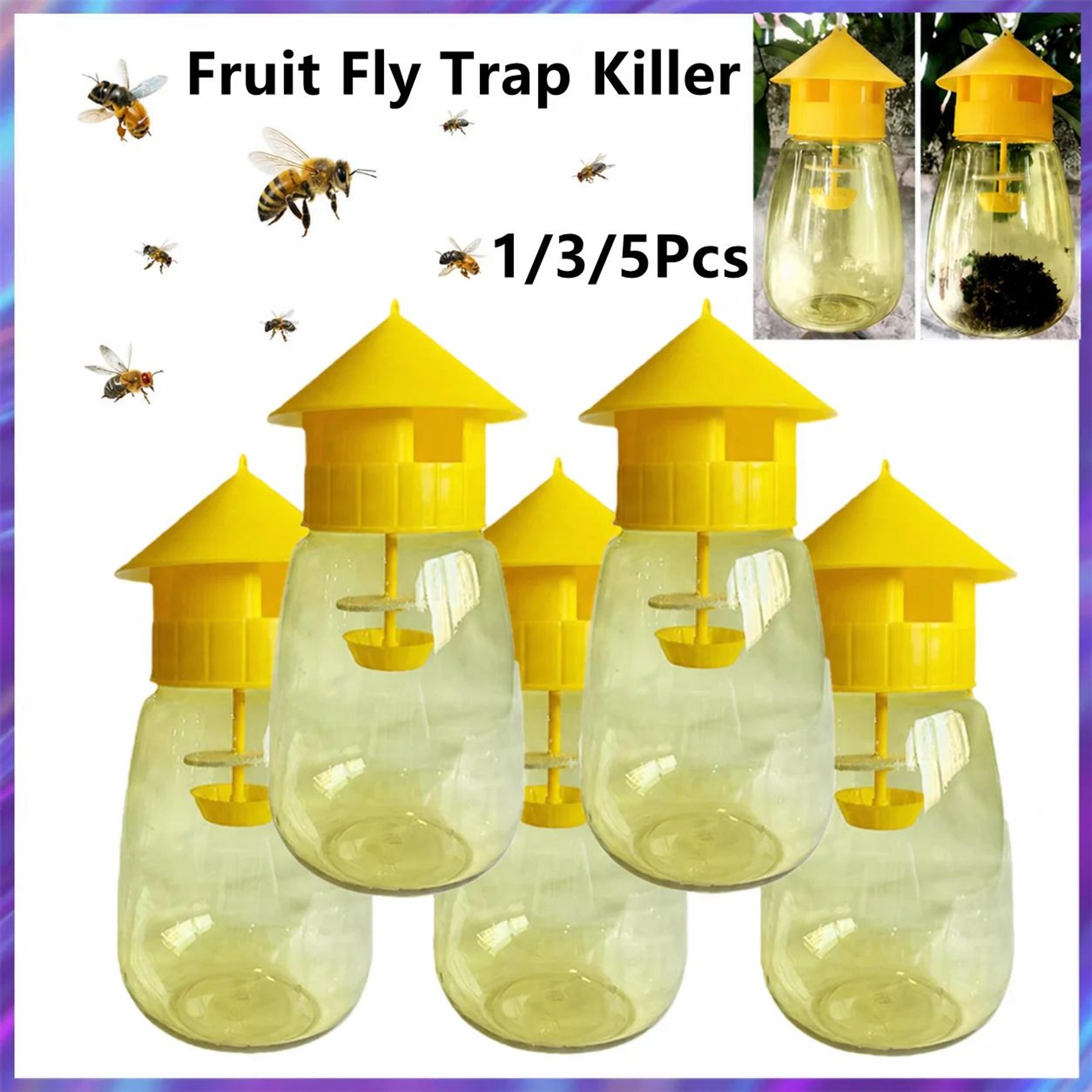 yellow fruit fly trap – reusable hanging drosophila insect catcher for gardens, orchards & vegetable plants