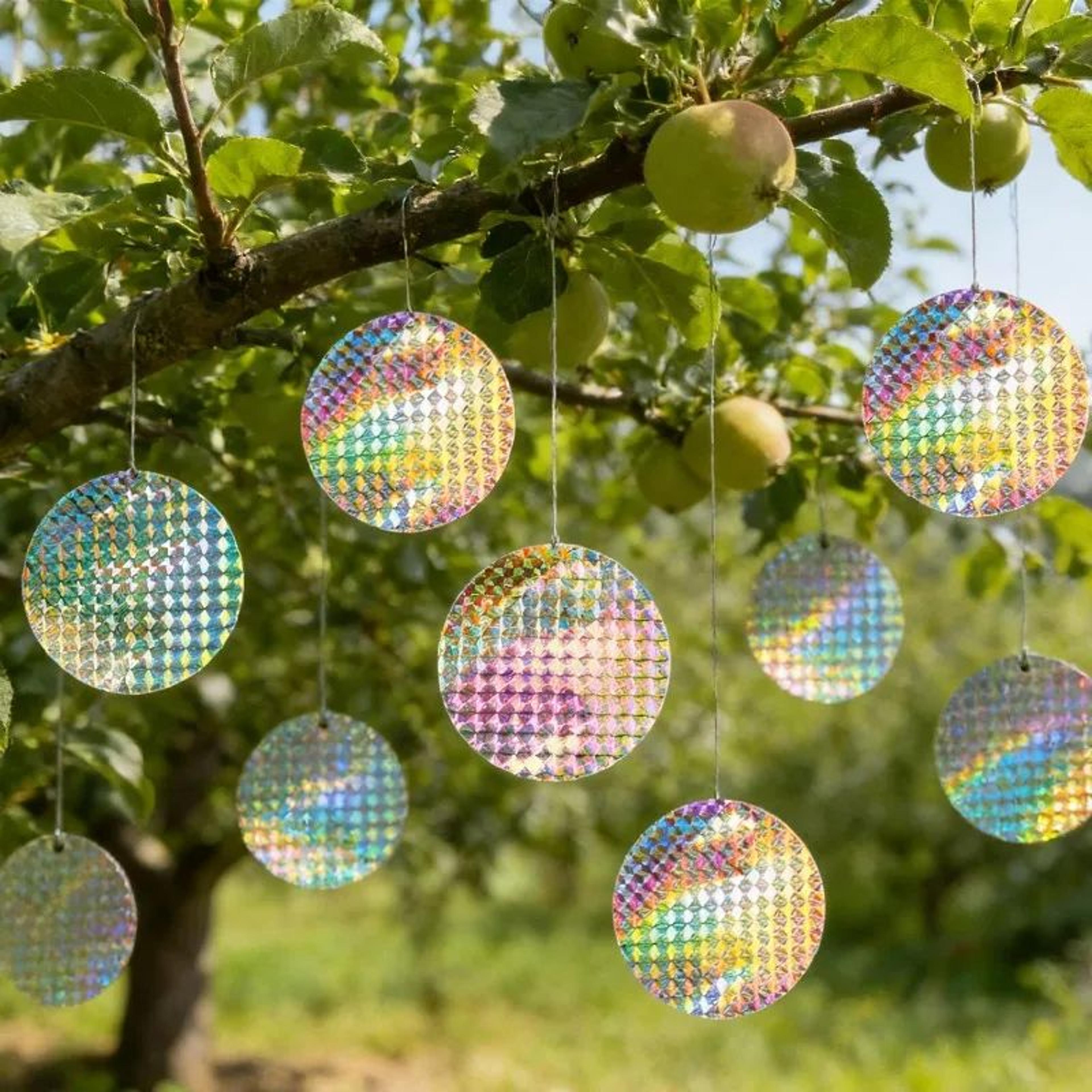 reflective bird repellent stickers – holographic pvc scare tape patches for pigeons, woodpeckers & garden bird control