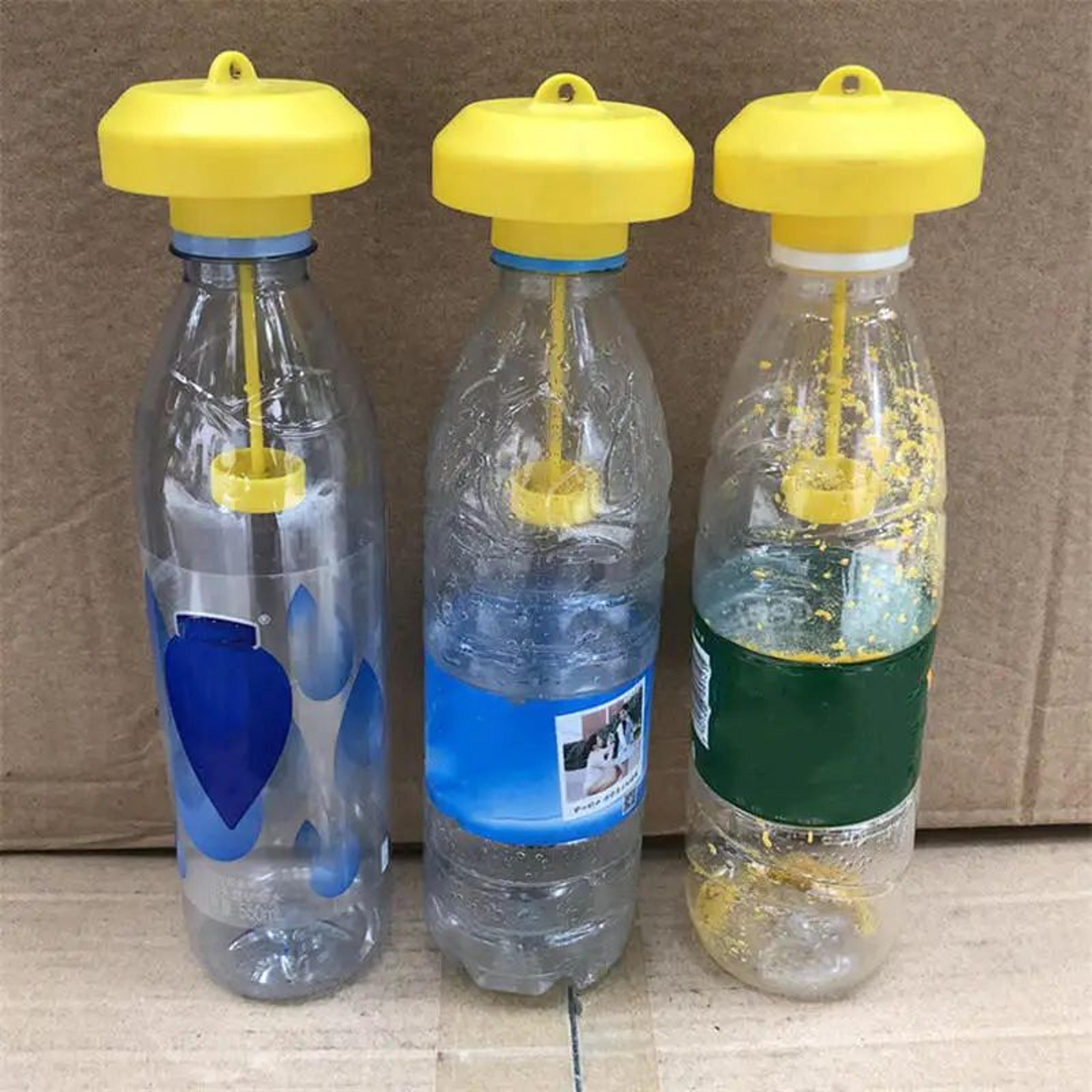 plastic fruit fly trap – reusable drosophila insect catcher for orchards, gardens & pest control
