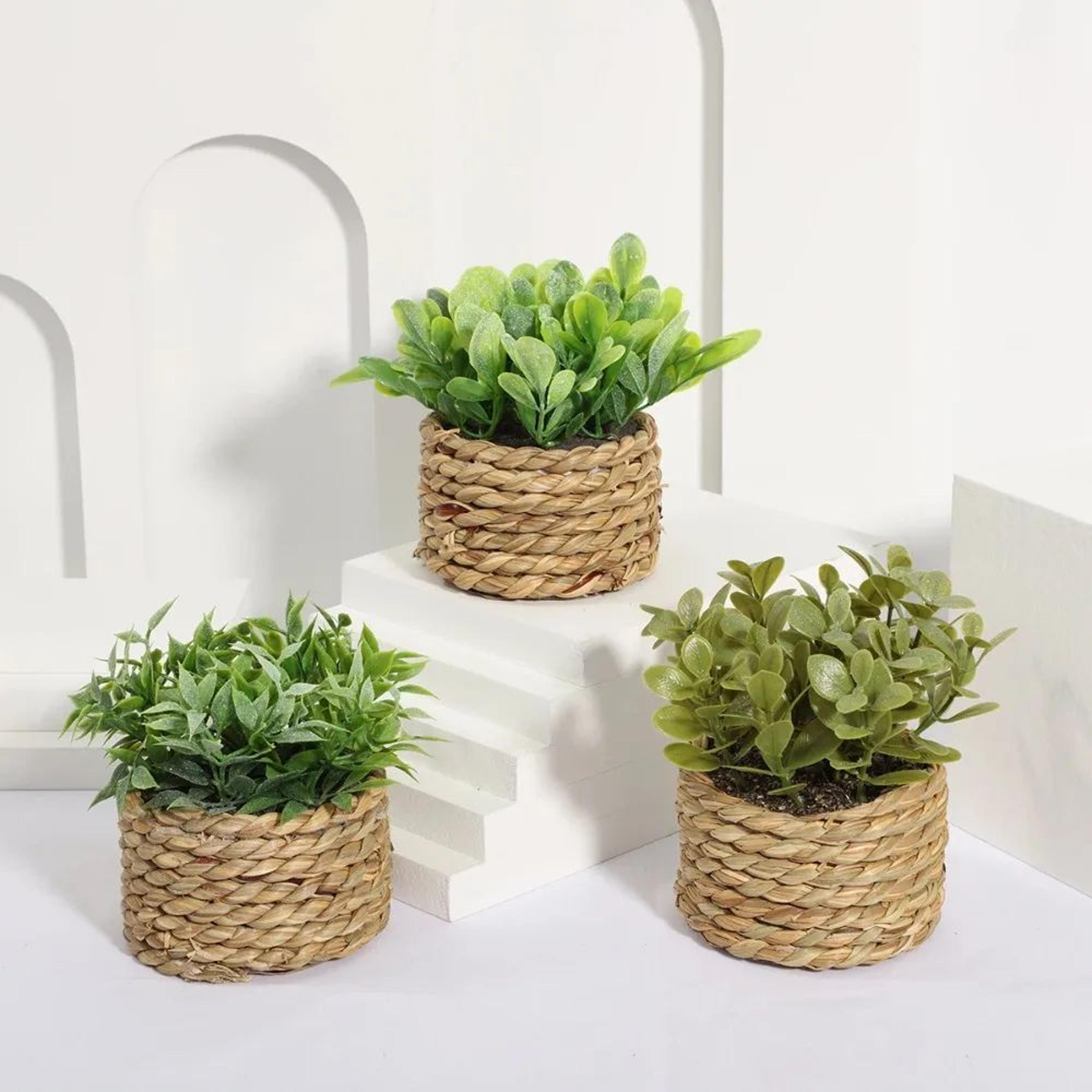 artificial eucalyptus potted plant – mini green faux plant in woven pot for home, office & table decor