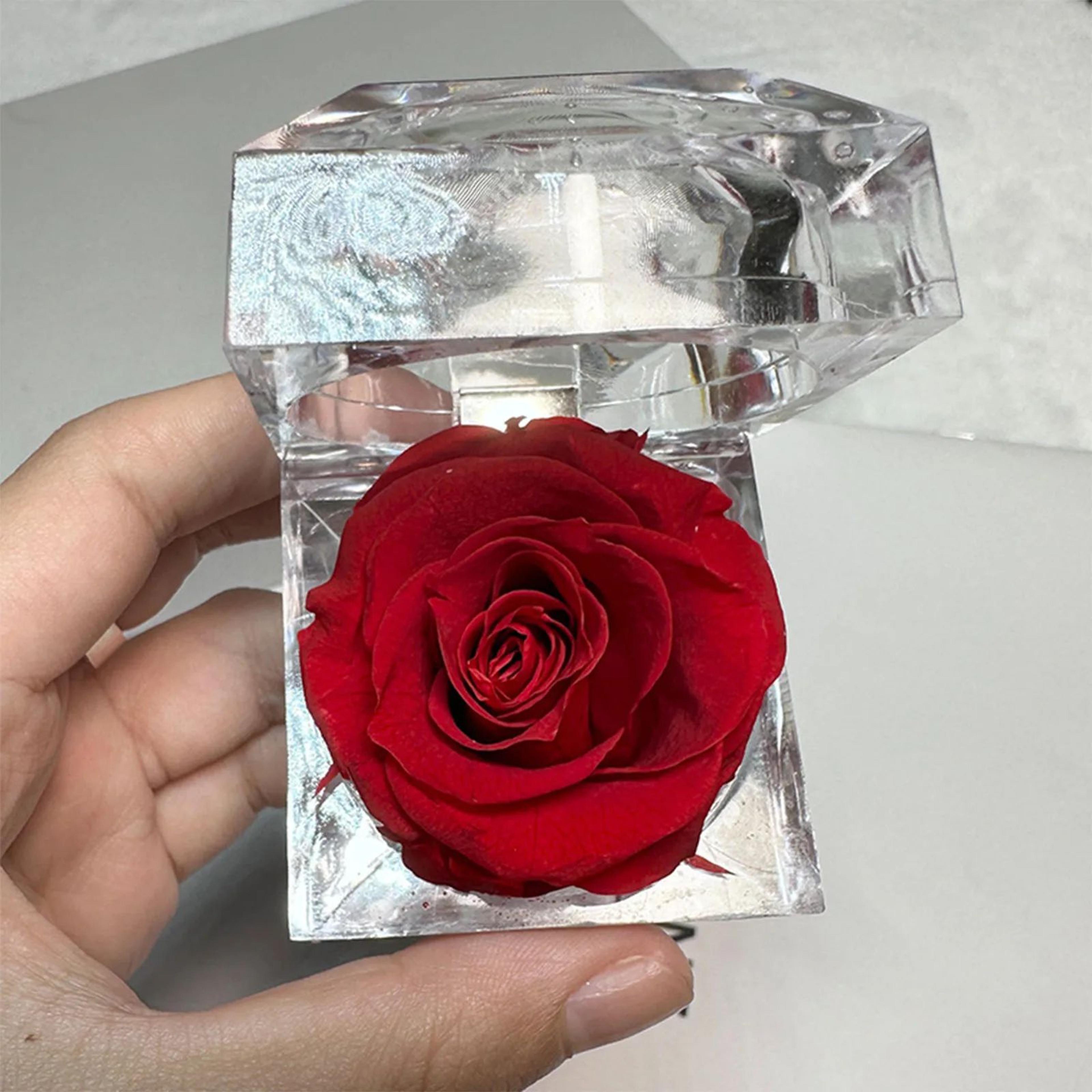 eternal preserved rose – real flower in glass gift box for valentine's day, anniversary, birthday & mother's day