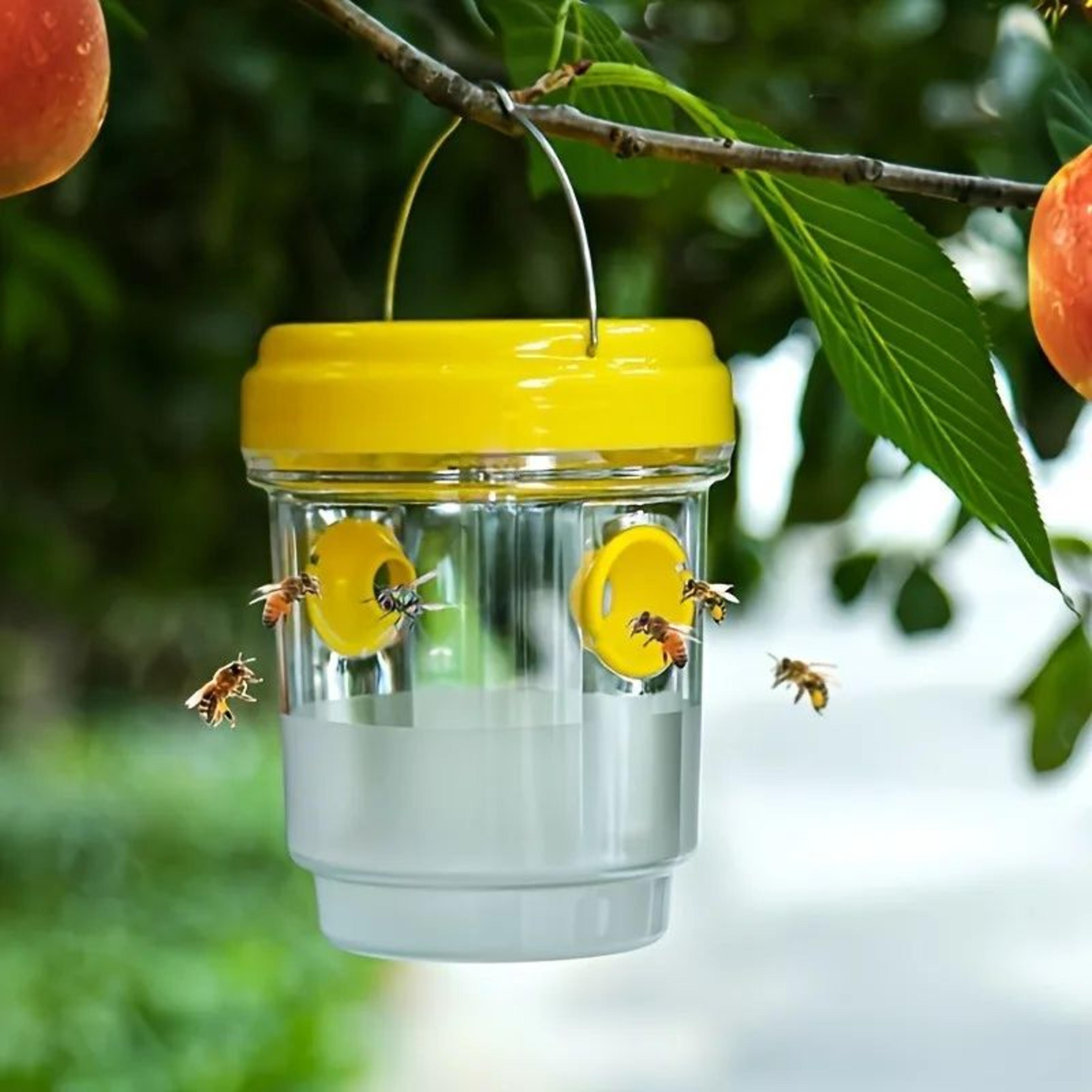 clear outdoor insect trap – reusable plastic fruit fly & wasp catcher with lid for garden, patio & yard pest control