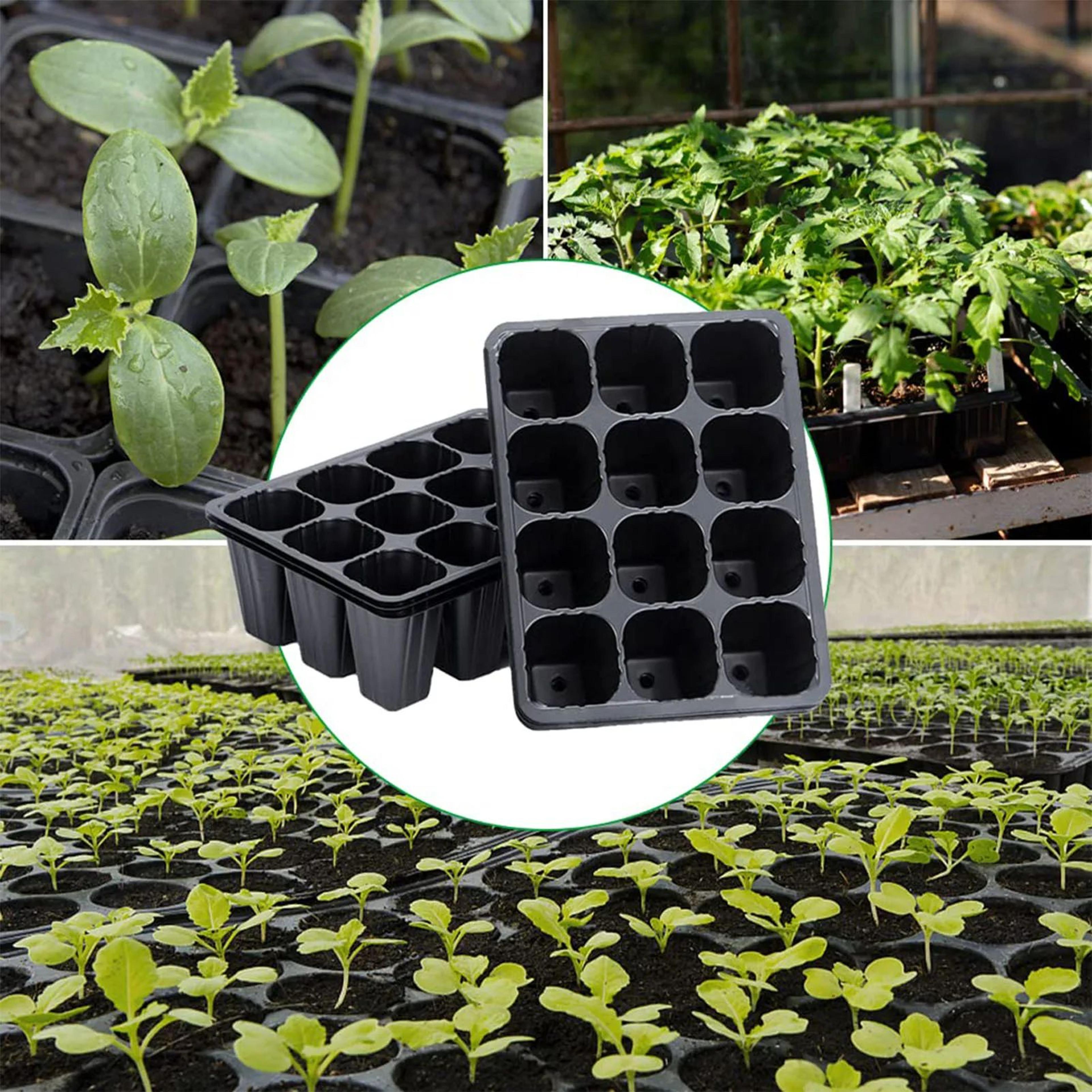 12-hole seedling starter pots – drainage nursery tray for vegetables herbs flowers succulents indoor outdoor gardening