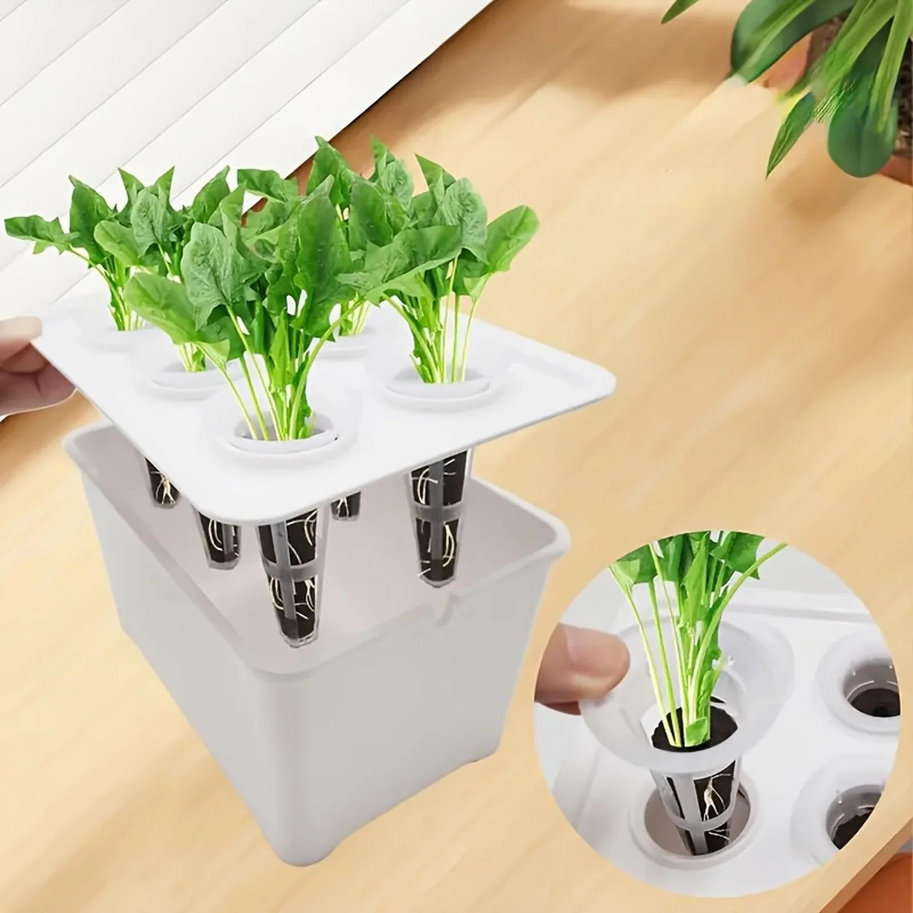 hydroponic grower box with seedling cups – mini self-watering indoor herb garden container for diy small space growing