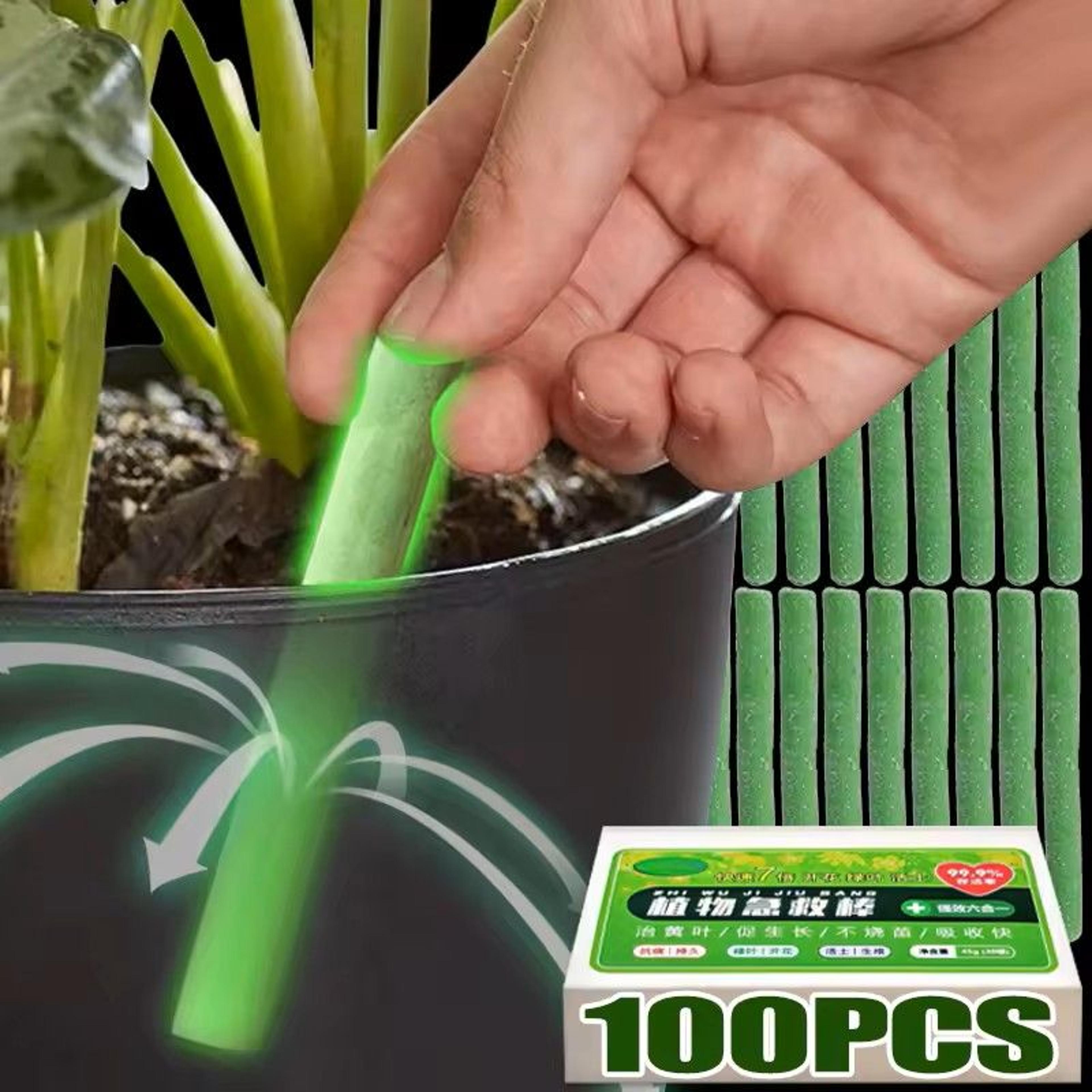 plant slow release nutrient sticks for indoor potted plants
