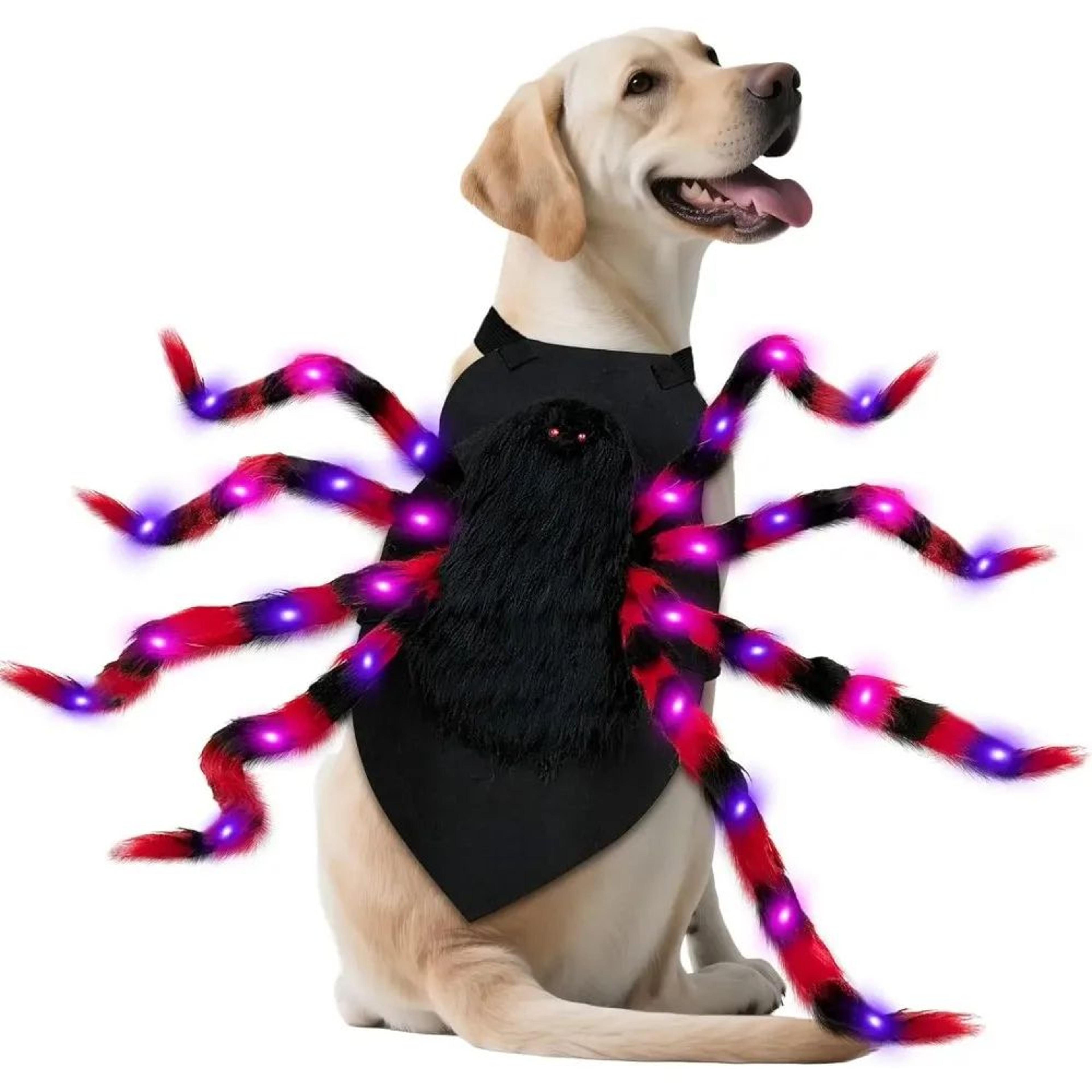 large dog halloween spider costume with led purple lights funny pet outfit