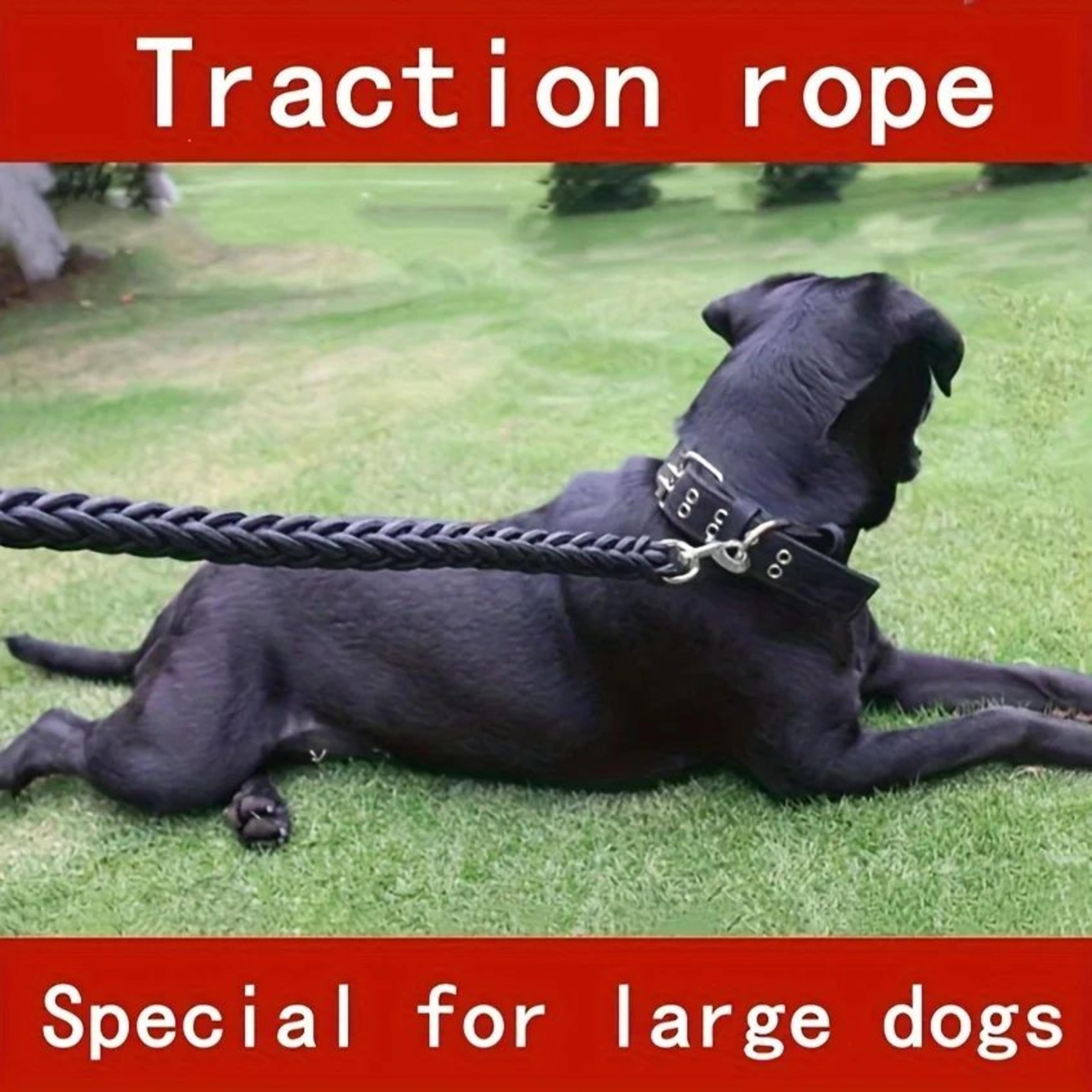 braided dog leash for training walks