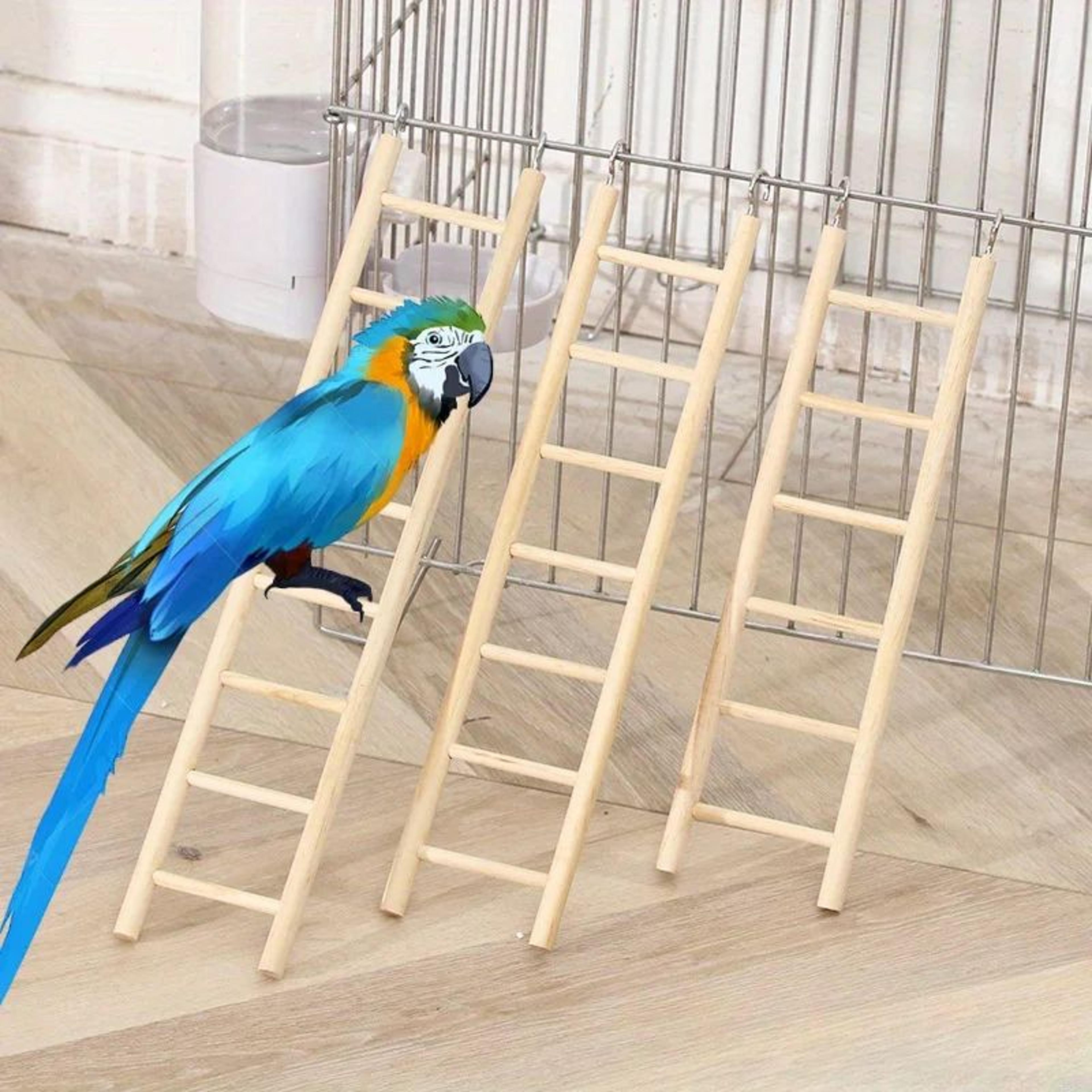 wooden bird climbing ladder toy