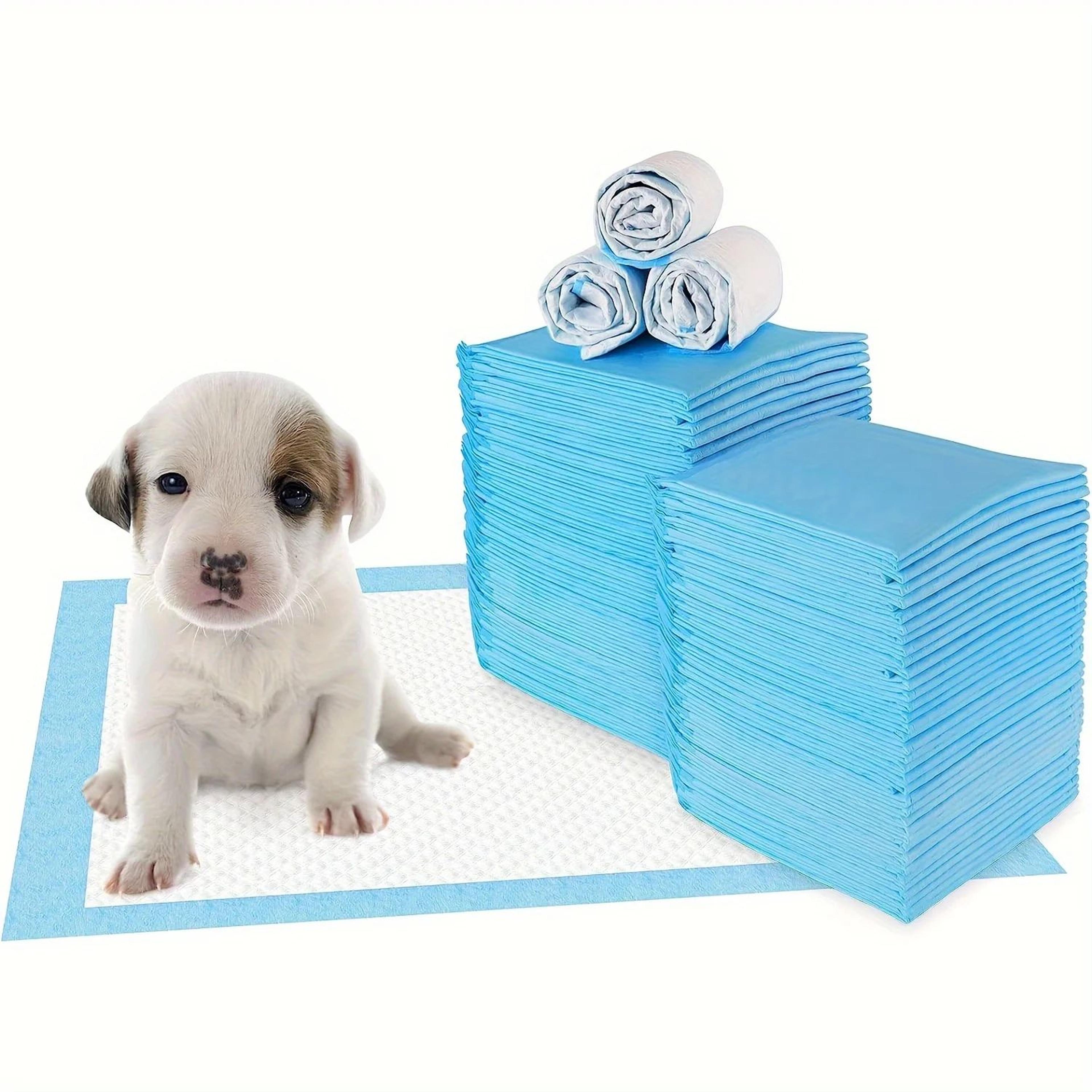 disposable dog training pee pads