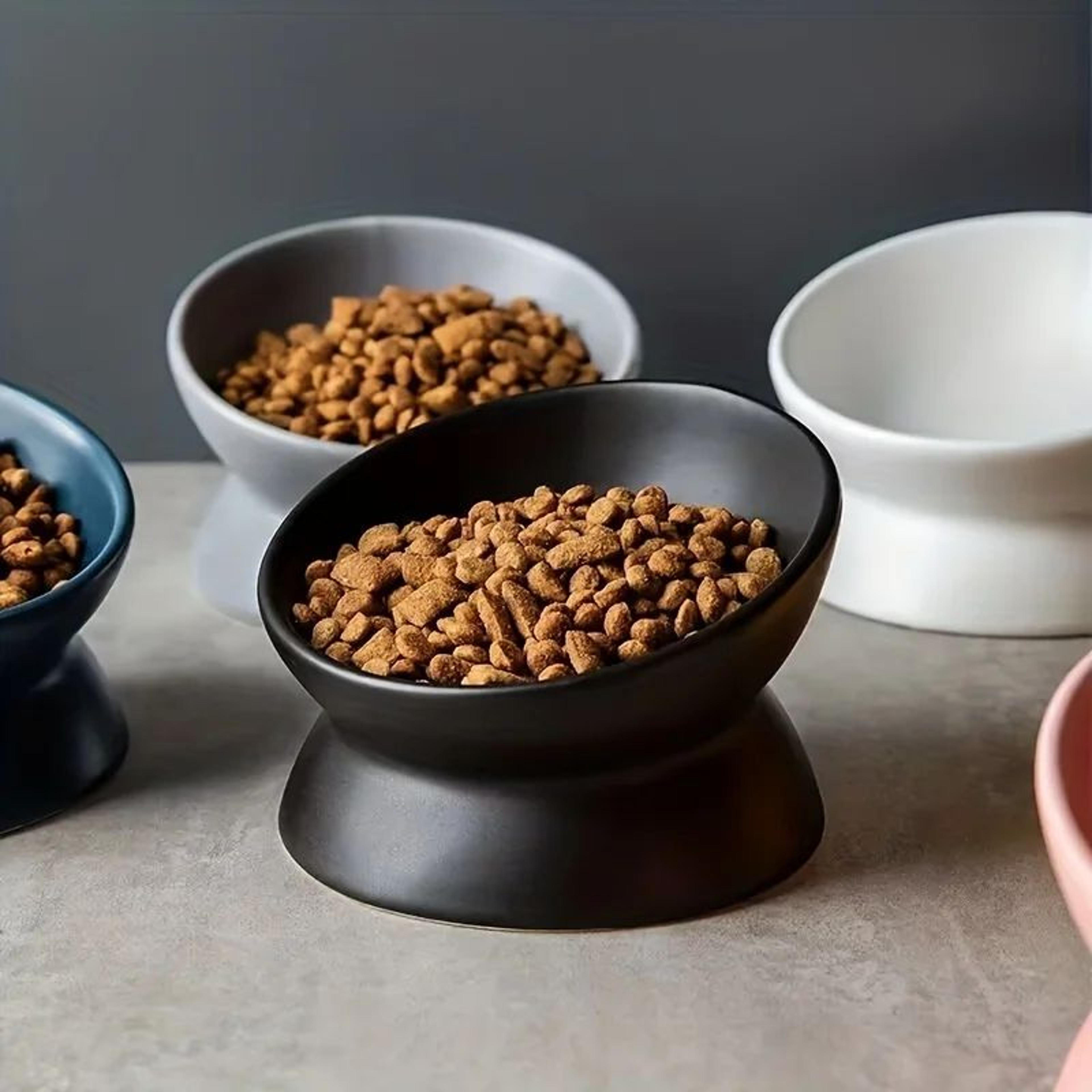 ceramic raised cat bowl feeding set