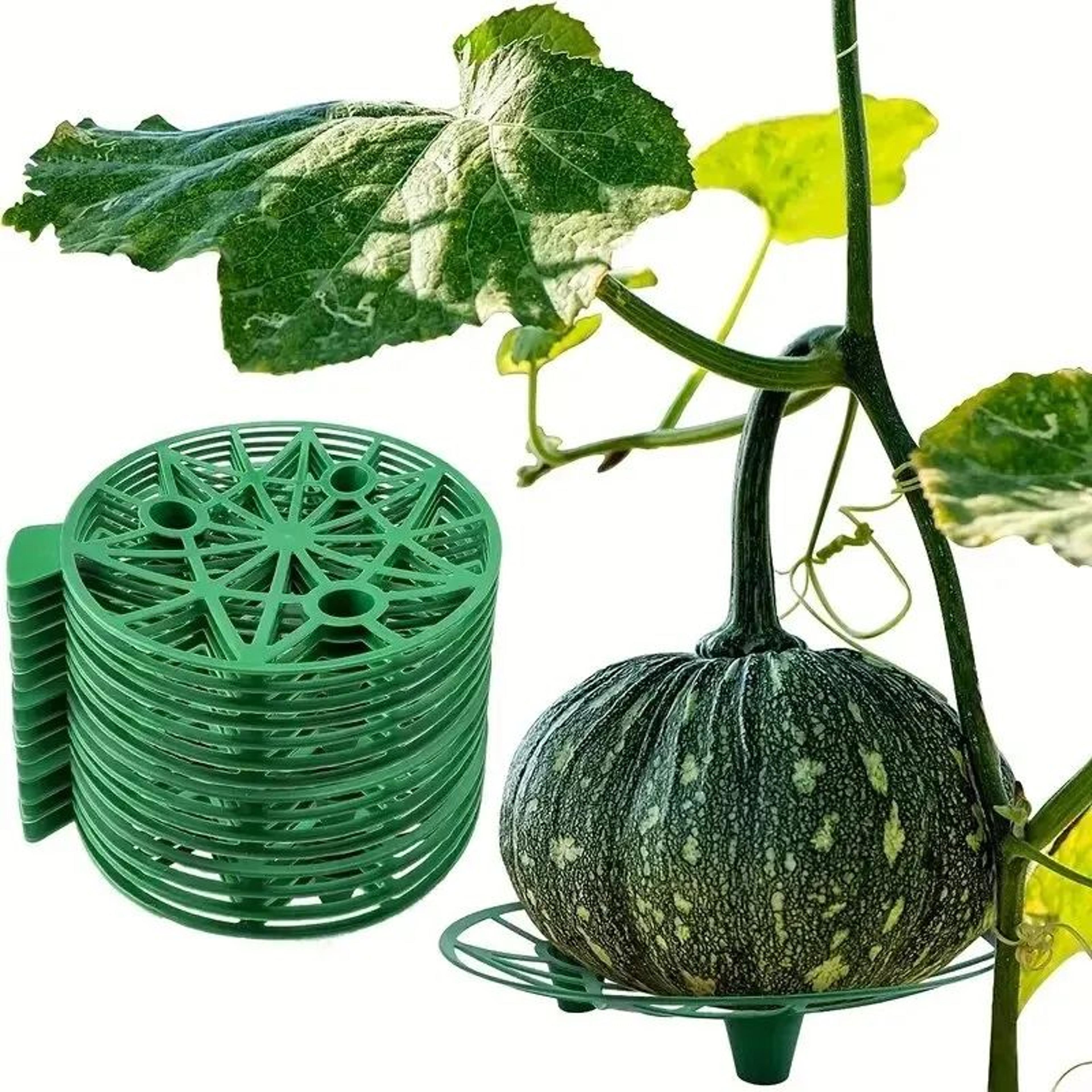 garden fruit support tray