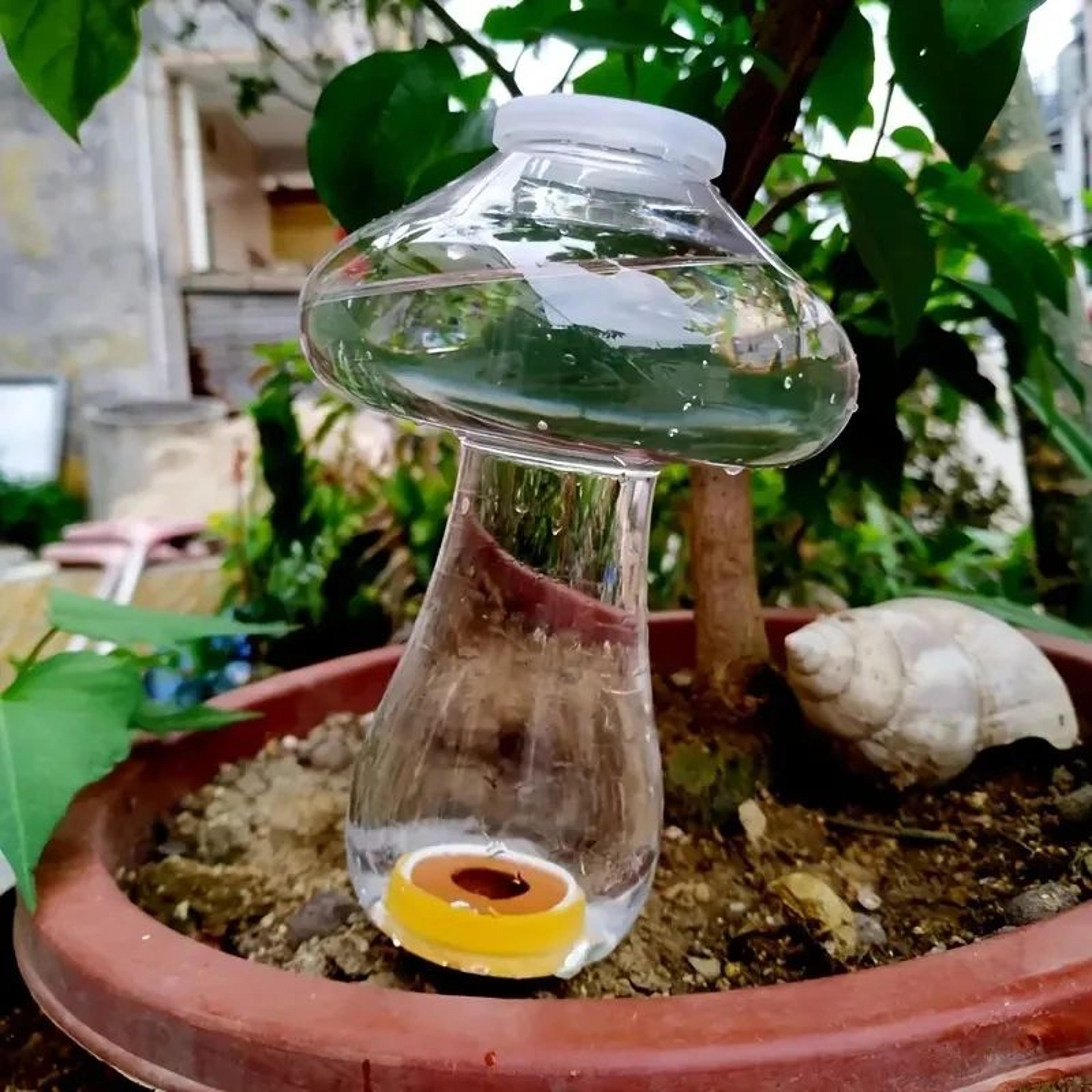 different shaped automatic plant waterer