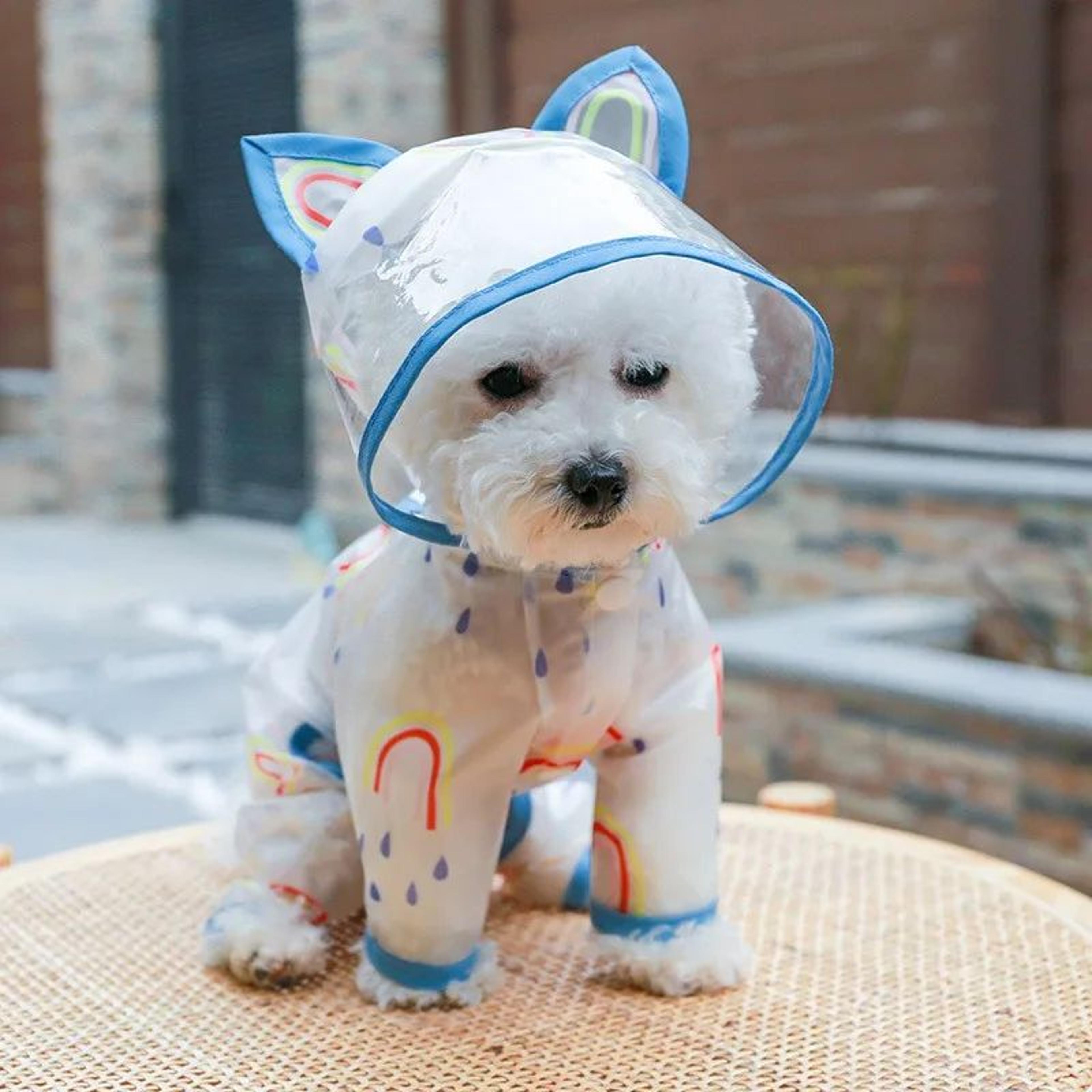 waterproof hooded dog raincoat