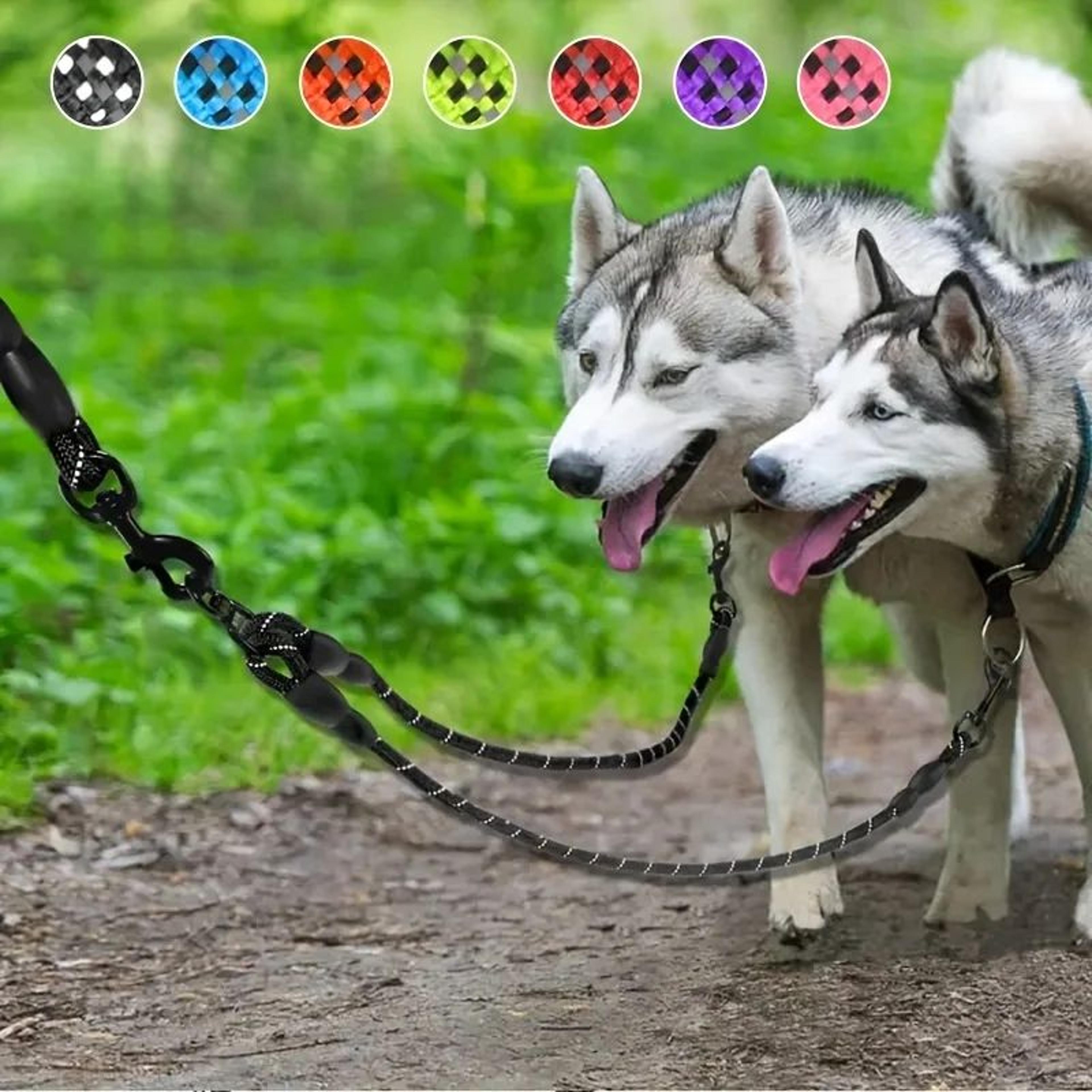 reflective dual dog collar leash set