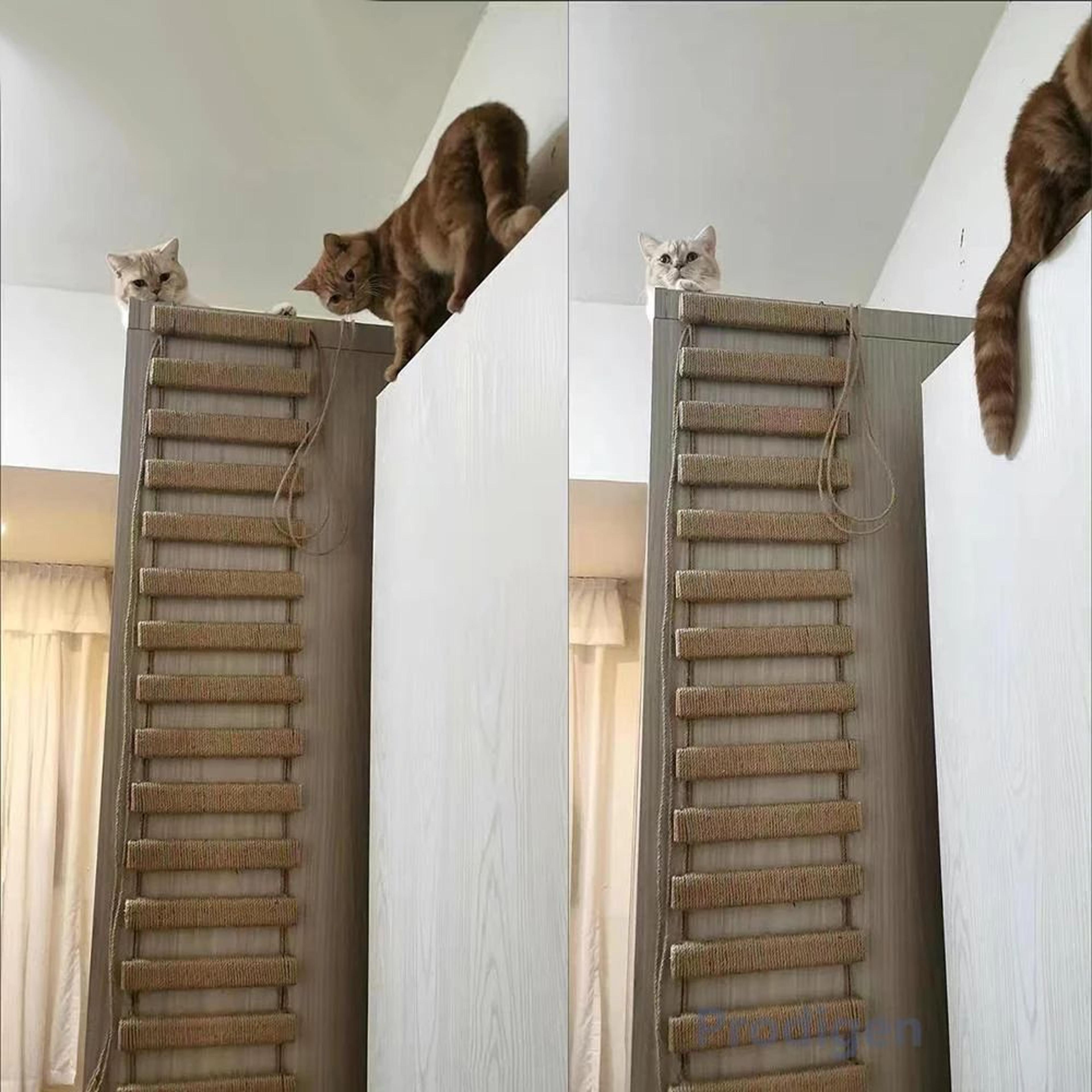 wooden sisal rope cat drawbridge ladder