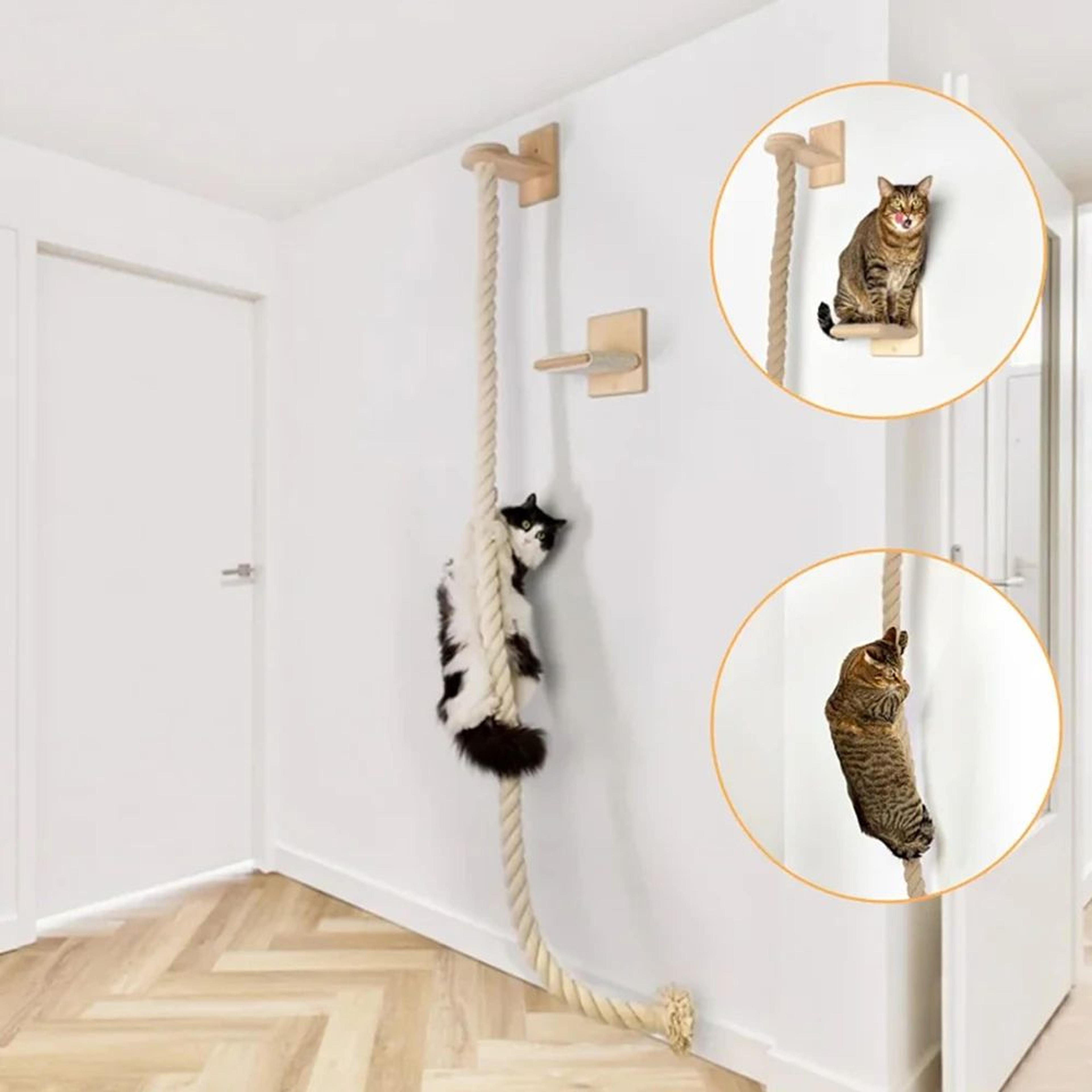 wall mounted cat climbing shelf tree