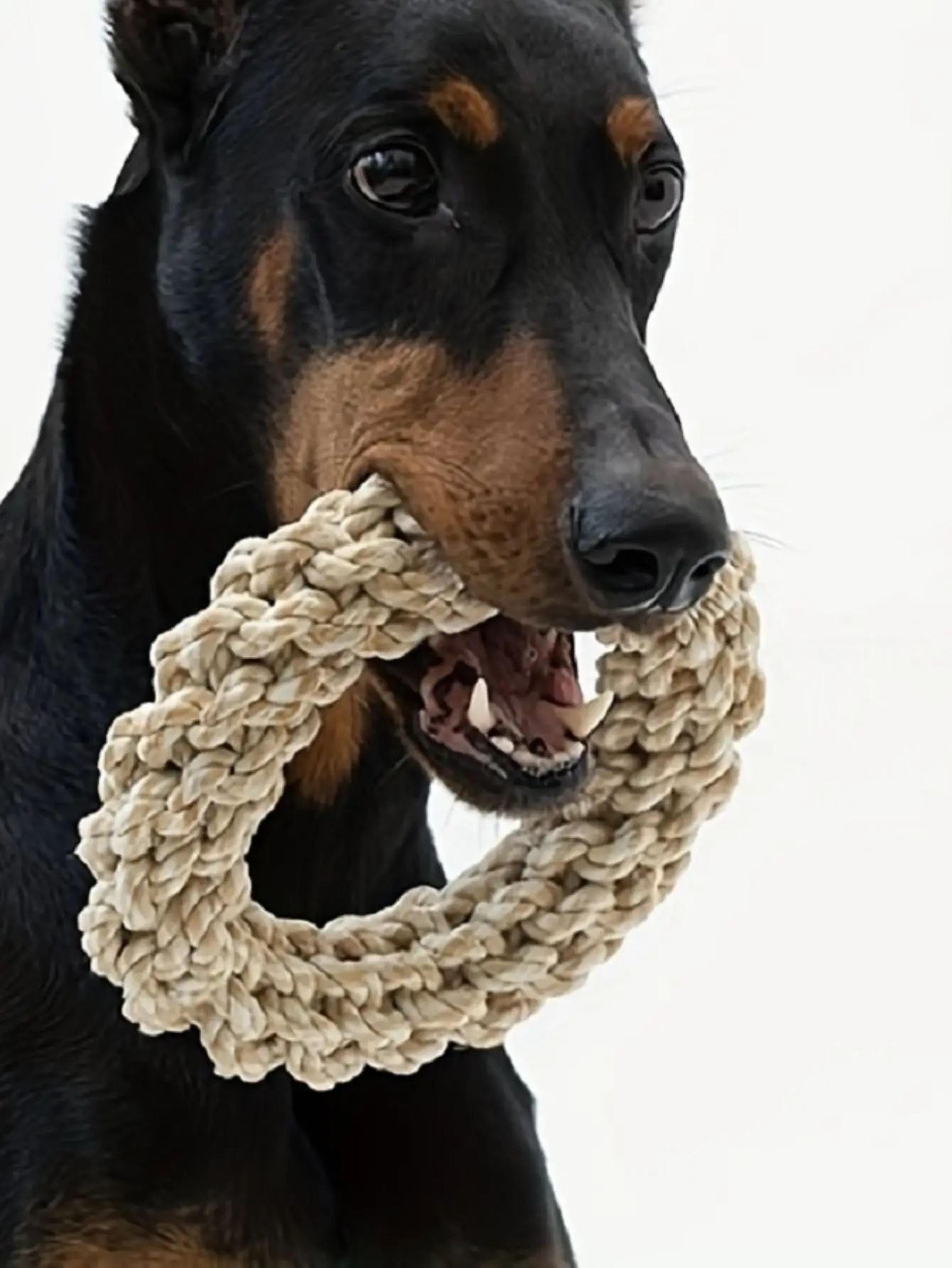 durable rope chew toy for dogs
