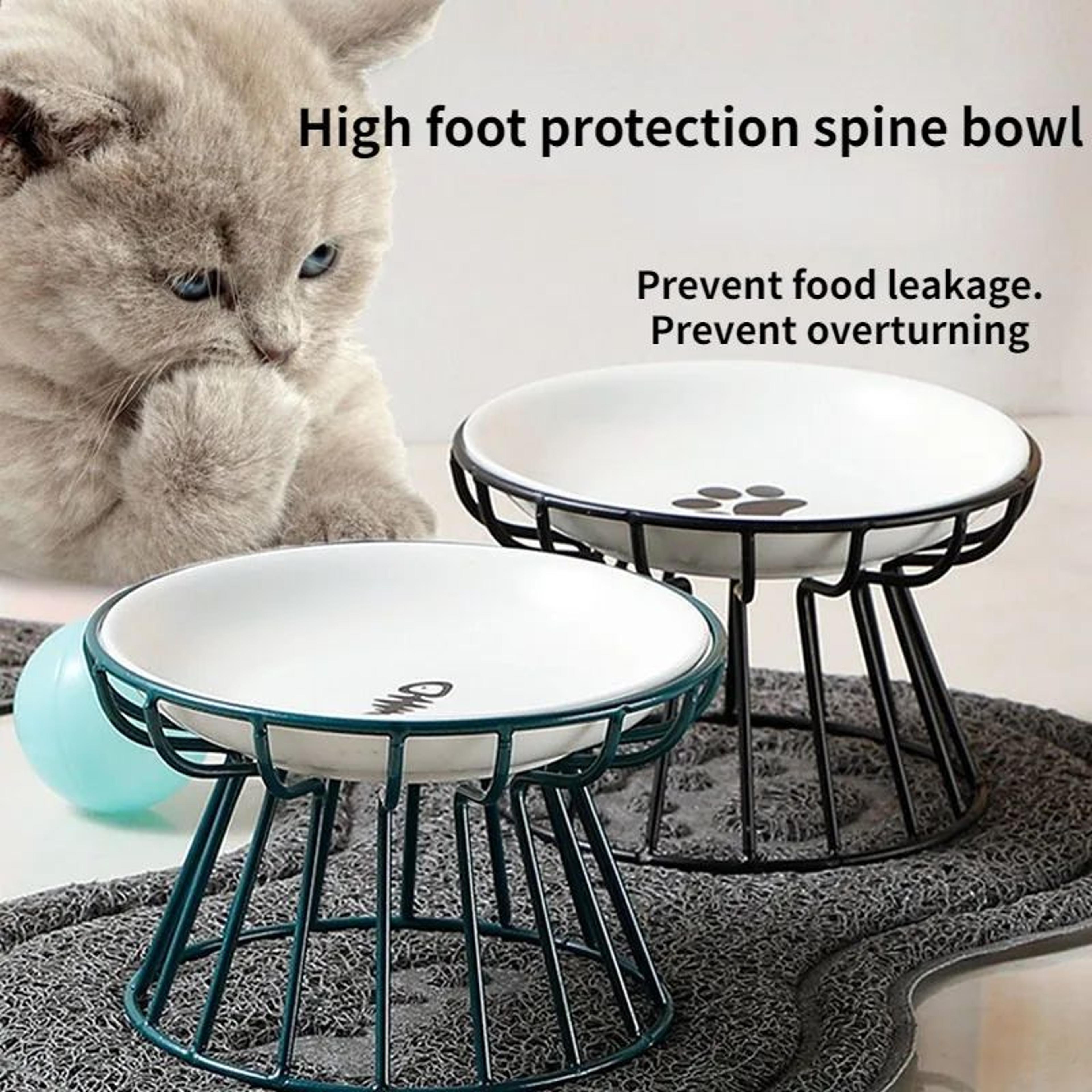 elevated ceramic pet food bowl with stand