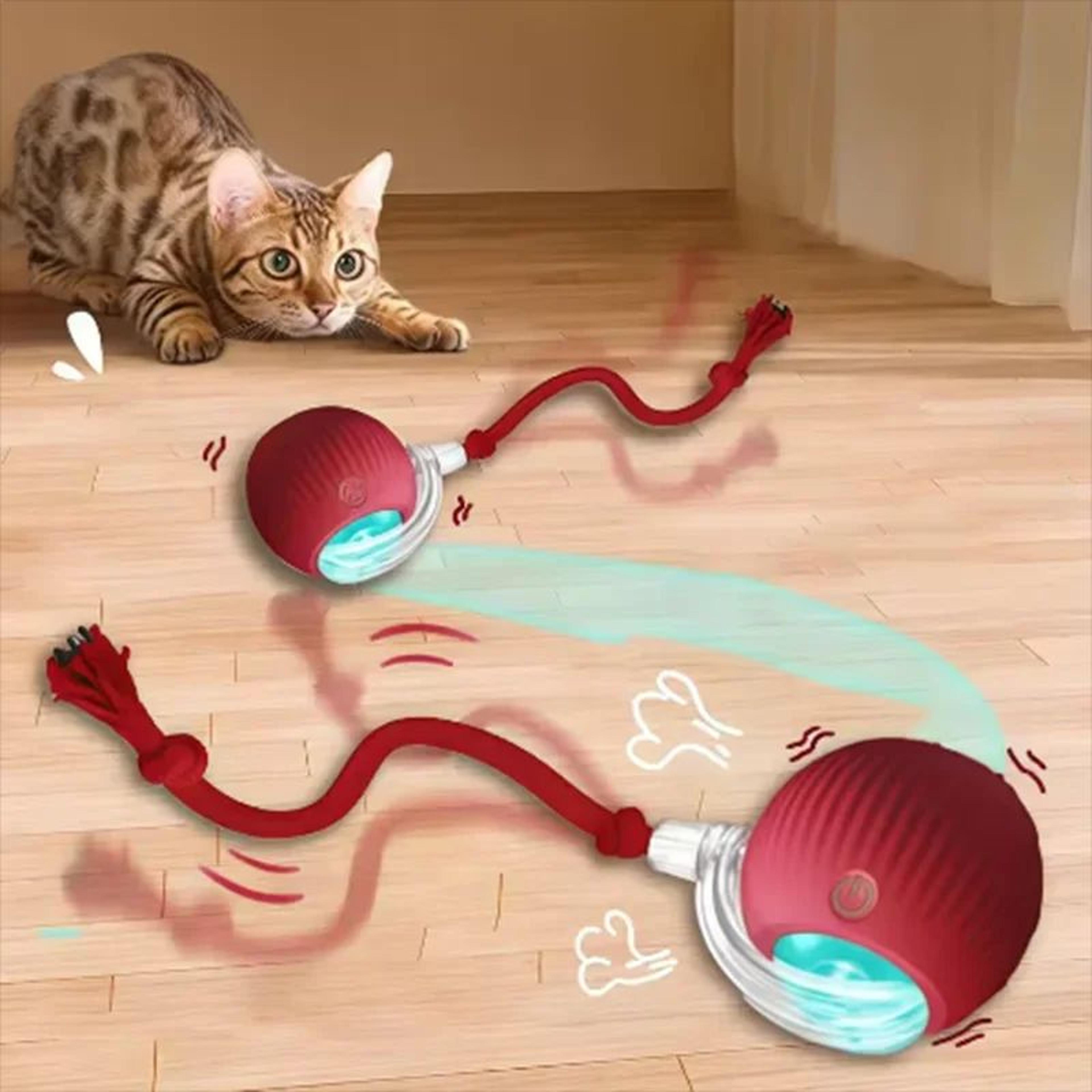 smart interactive pet play ball