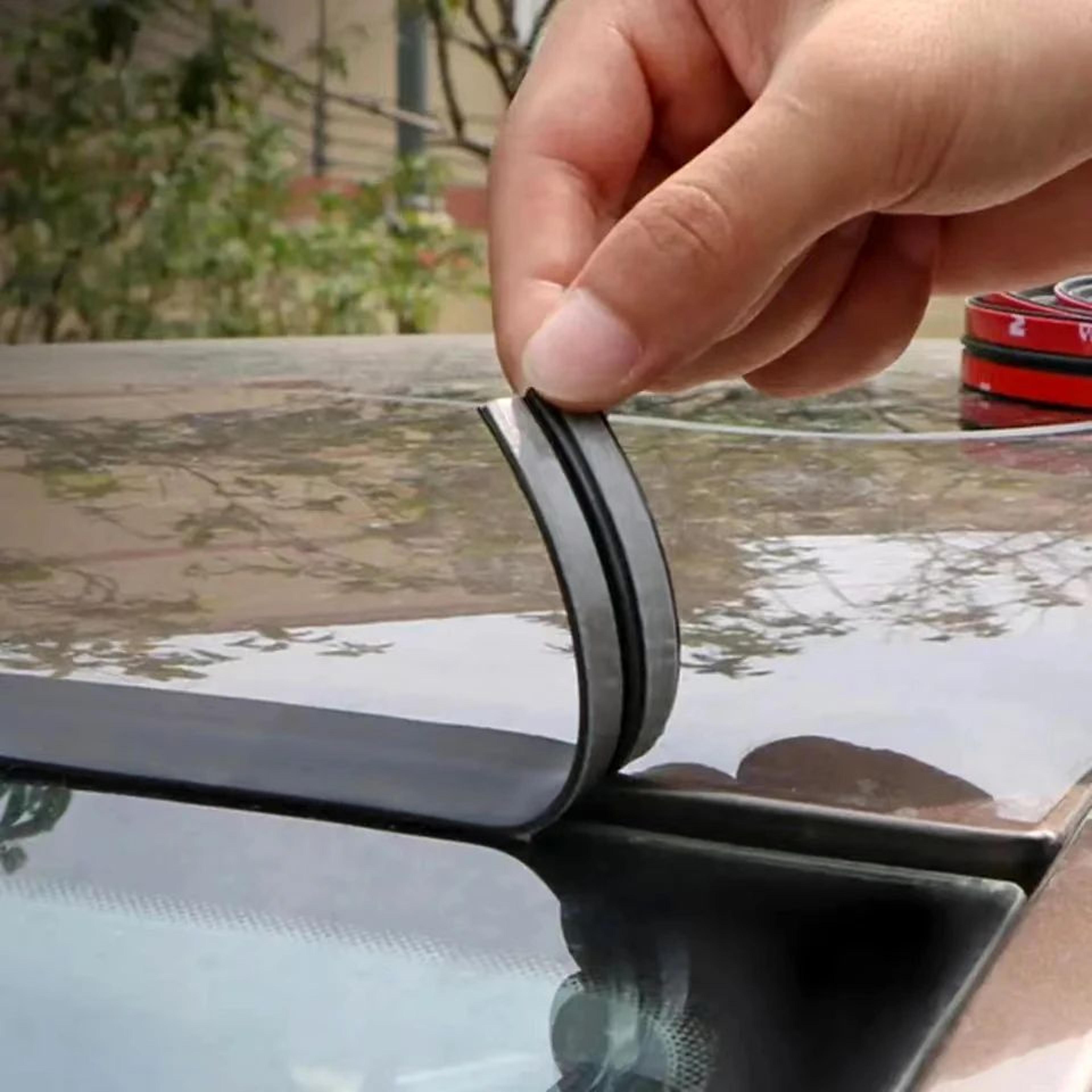 car door and window sealing strips