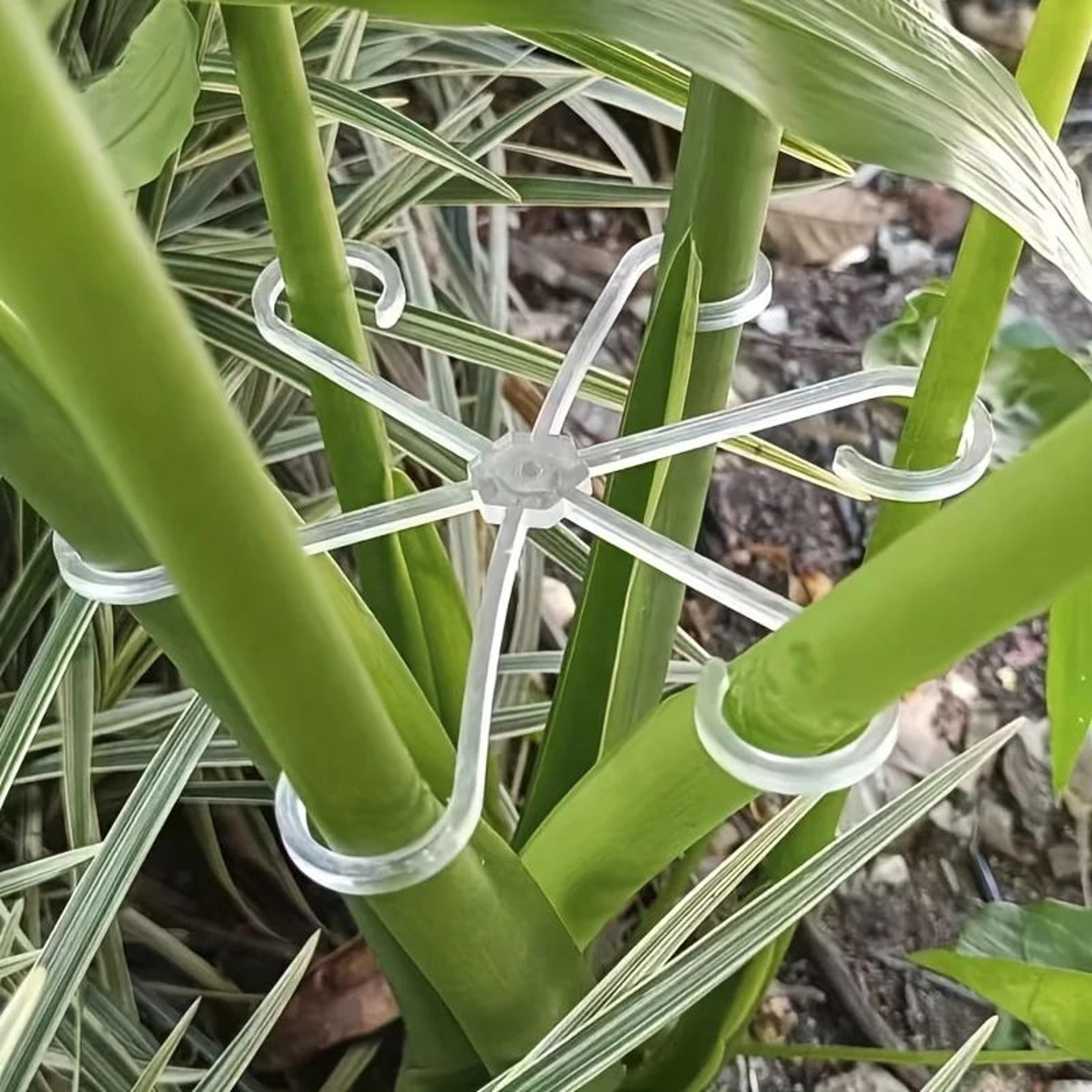 plant support clips set