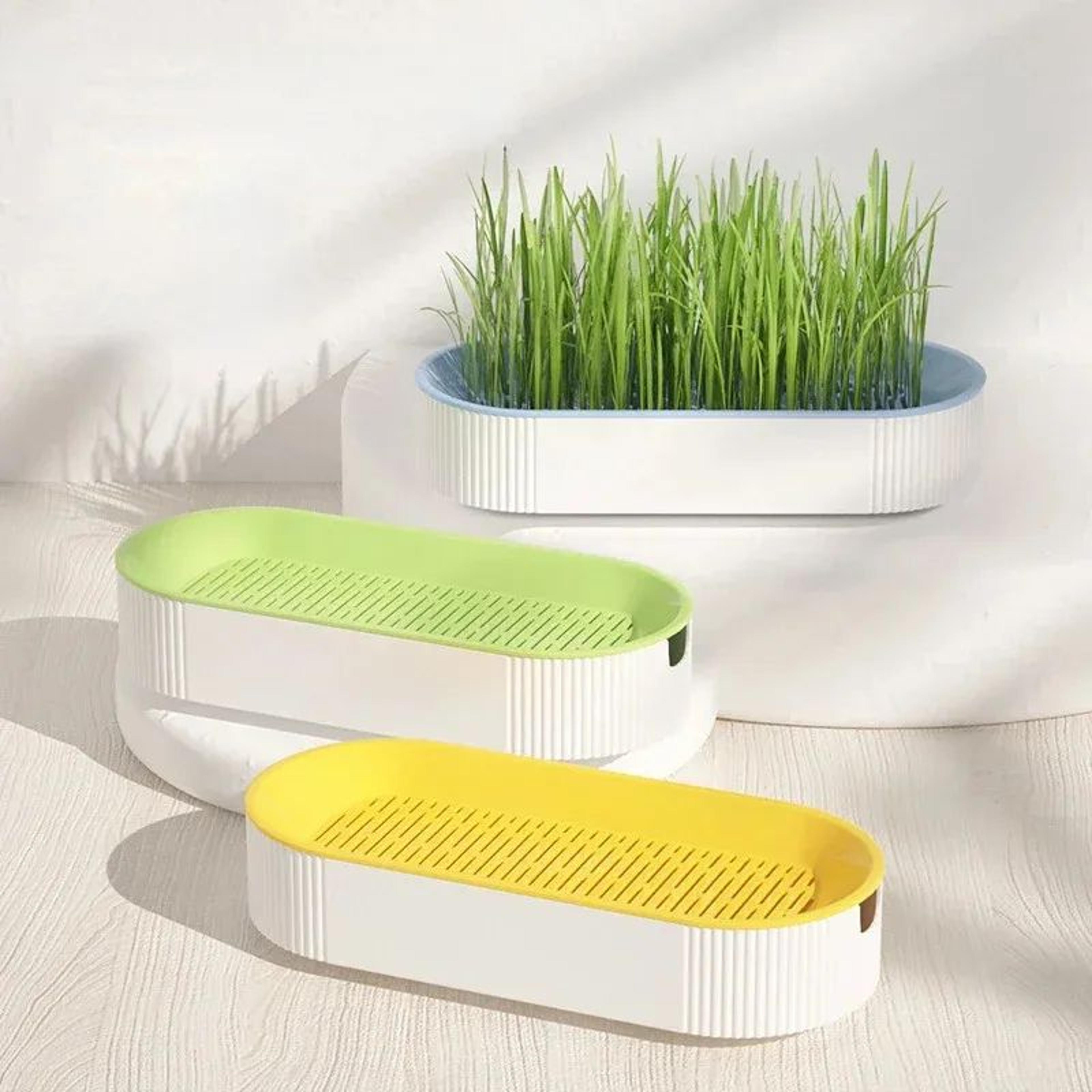 hydroponic cat grass planter box