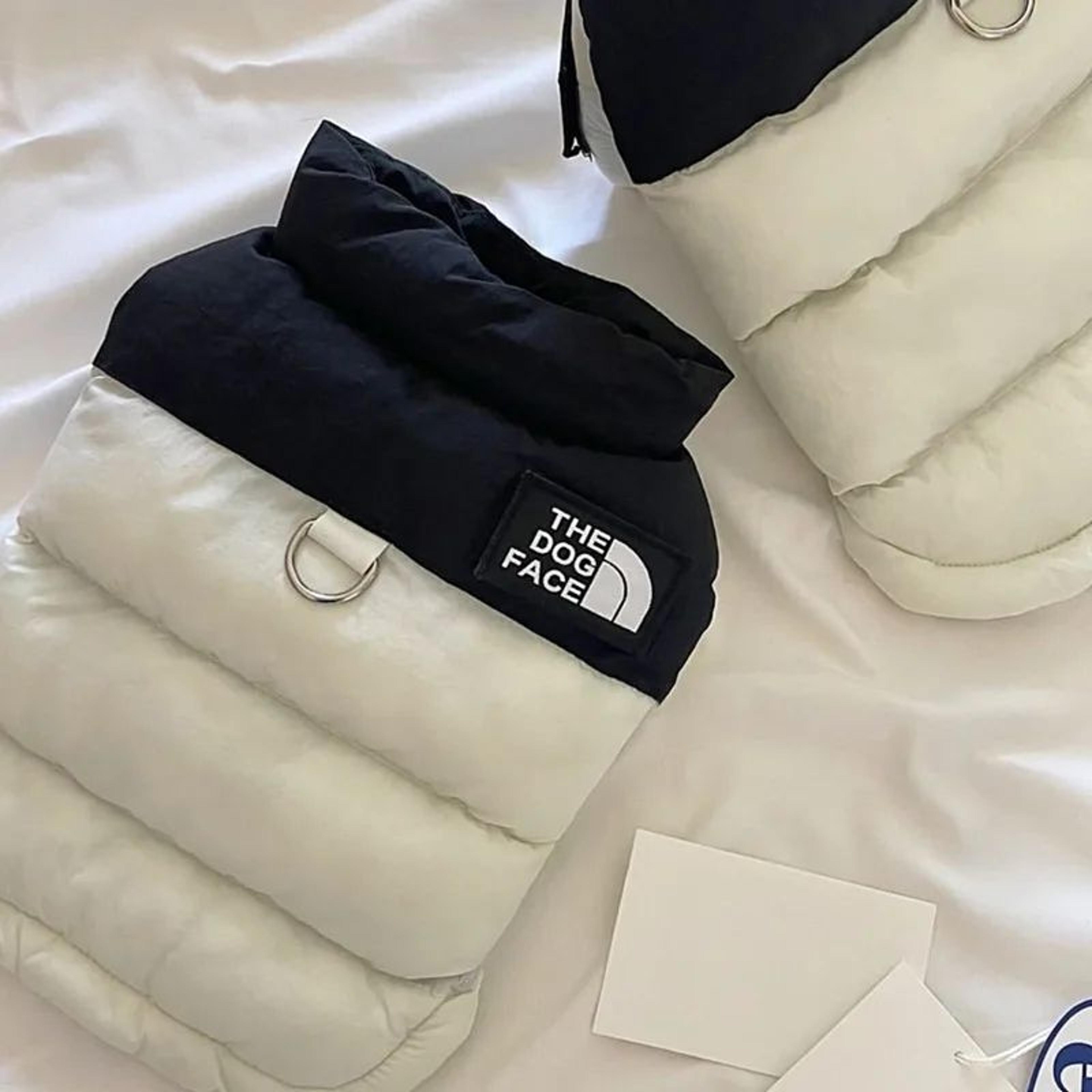 warm cotton down dog winter coat