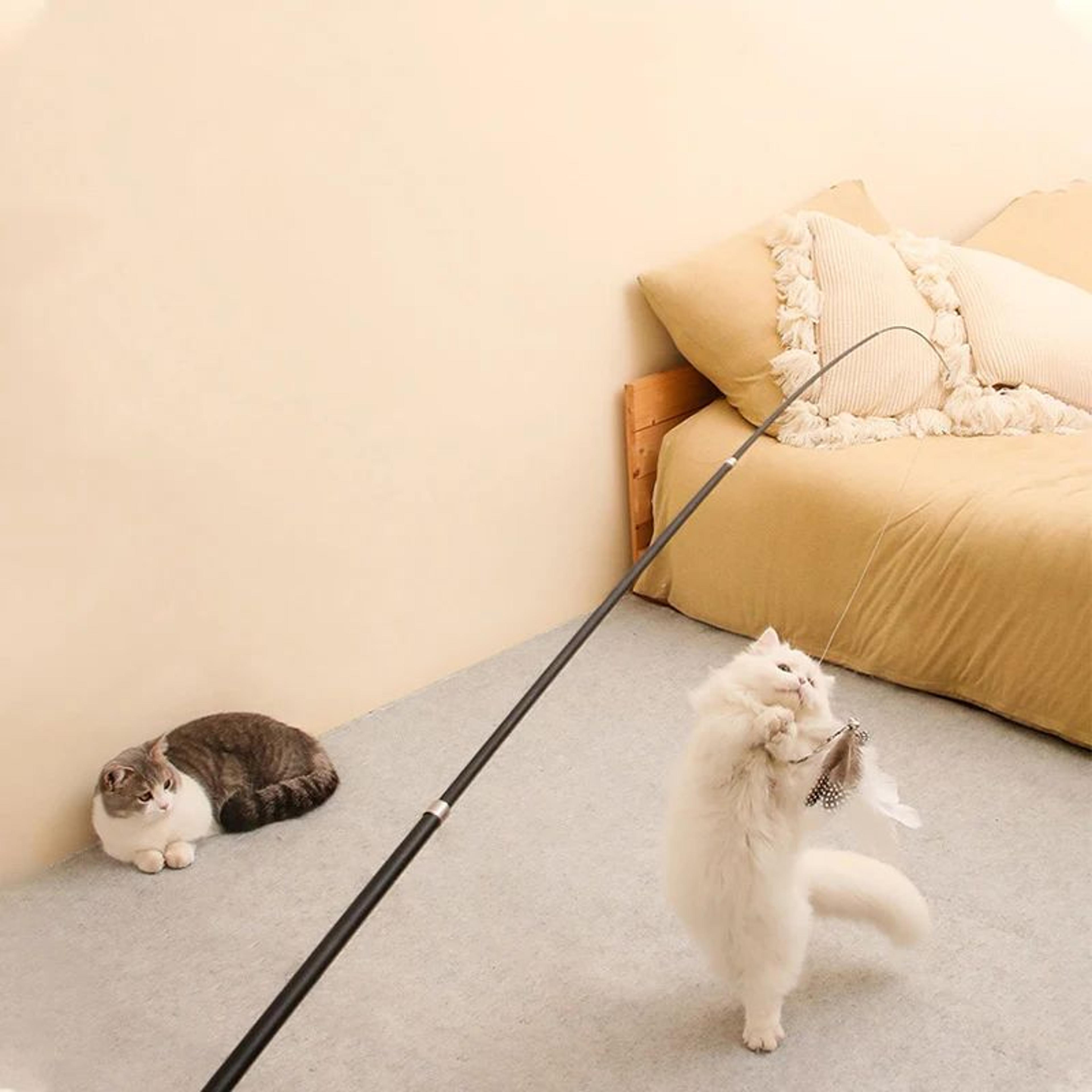 extra long telescopic feather cat wand toy