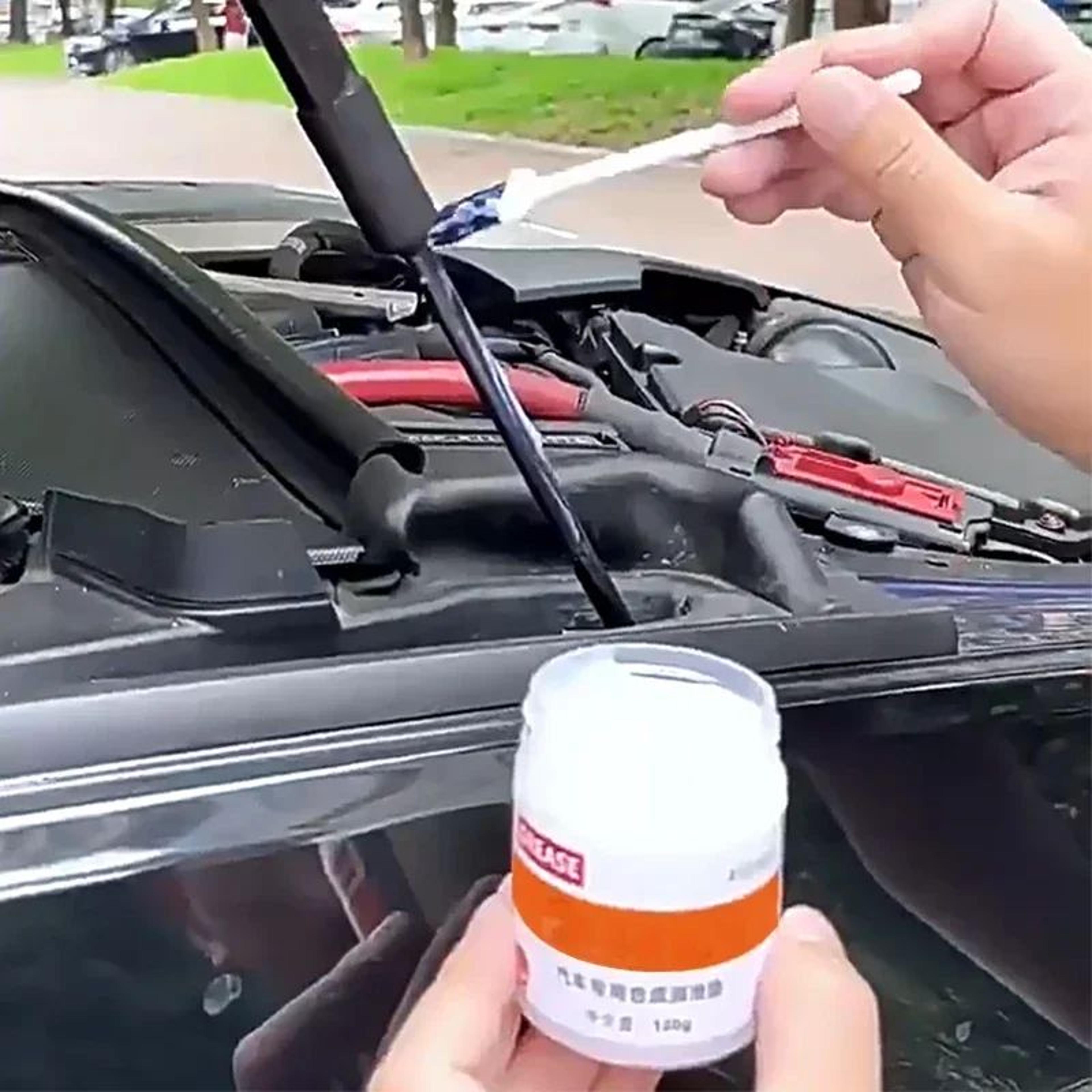 car door and sunroof lubricating grease 100g