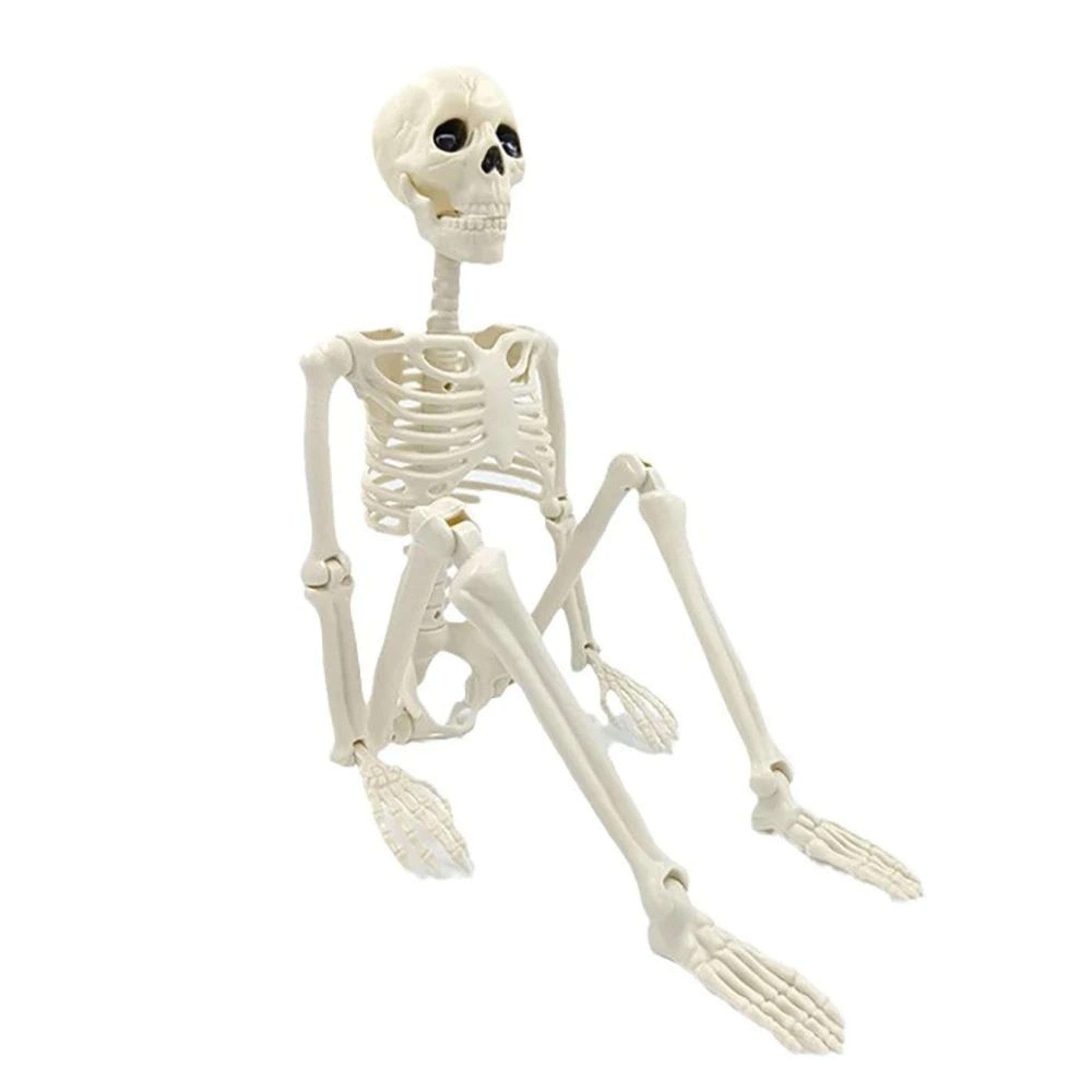 halloween posable human skeleton decoration horror party prop