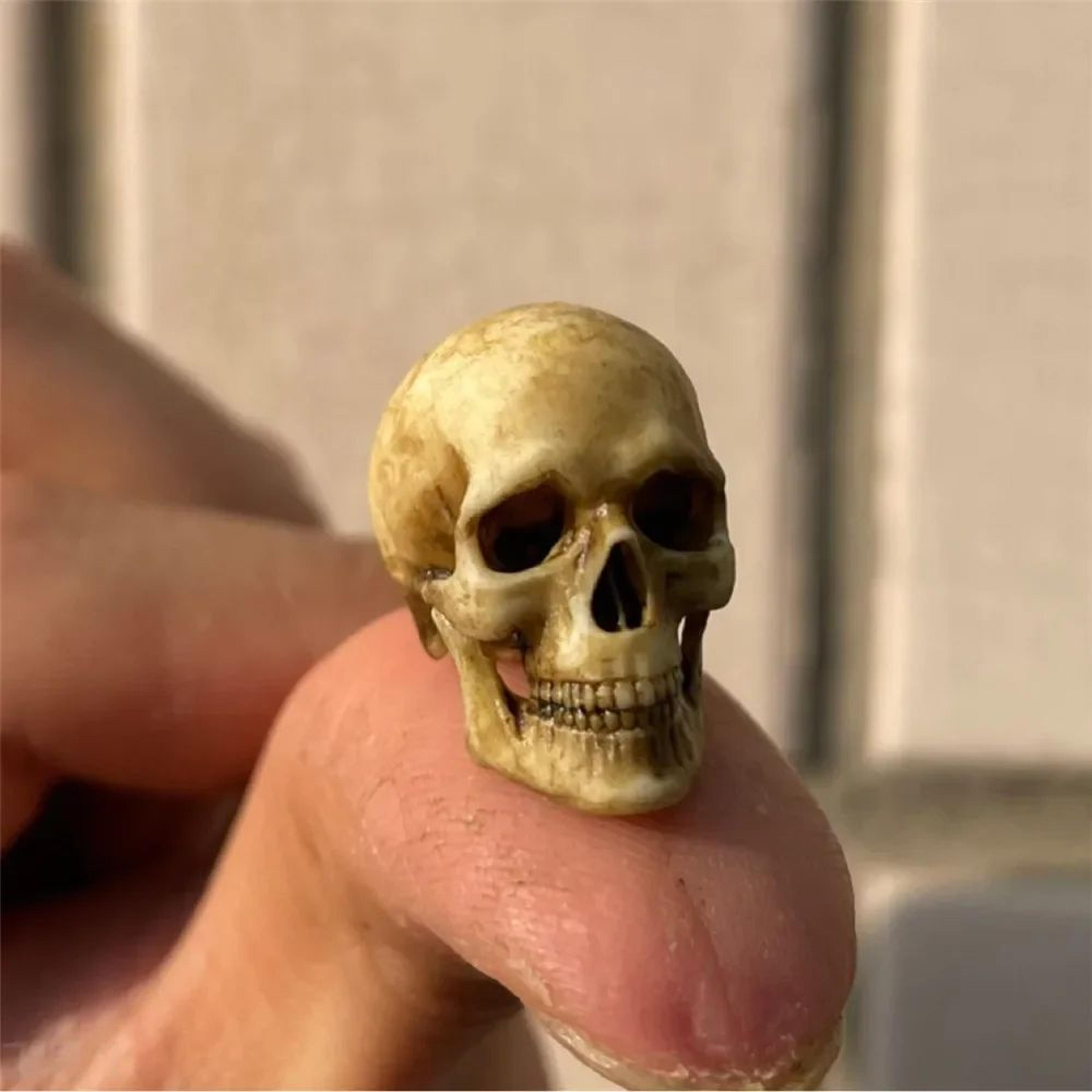 mini skeleton skull model 1 to 12 scale halloween decoration