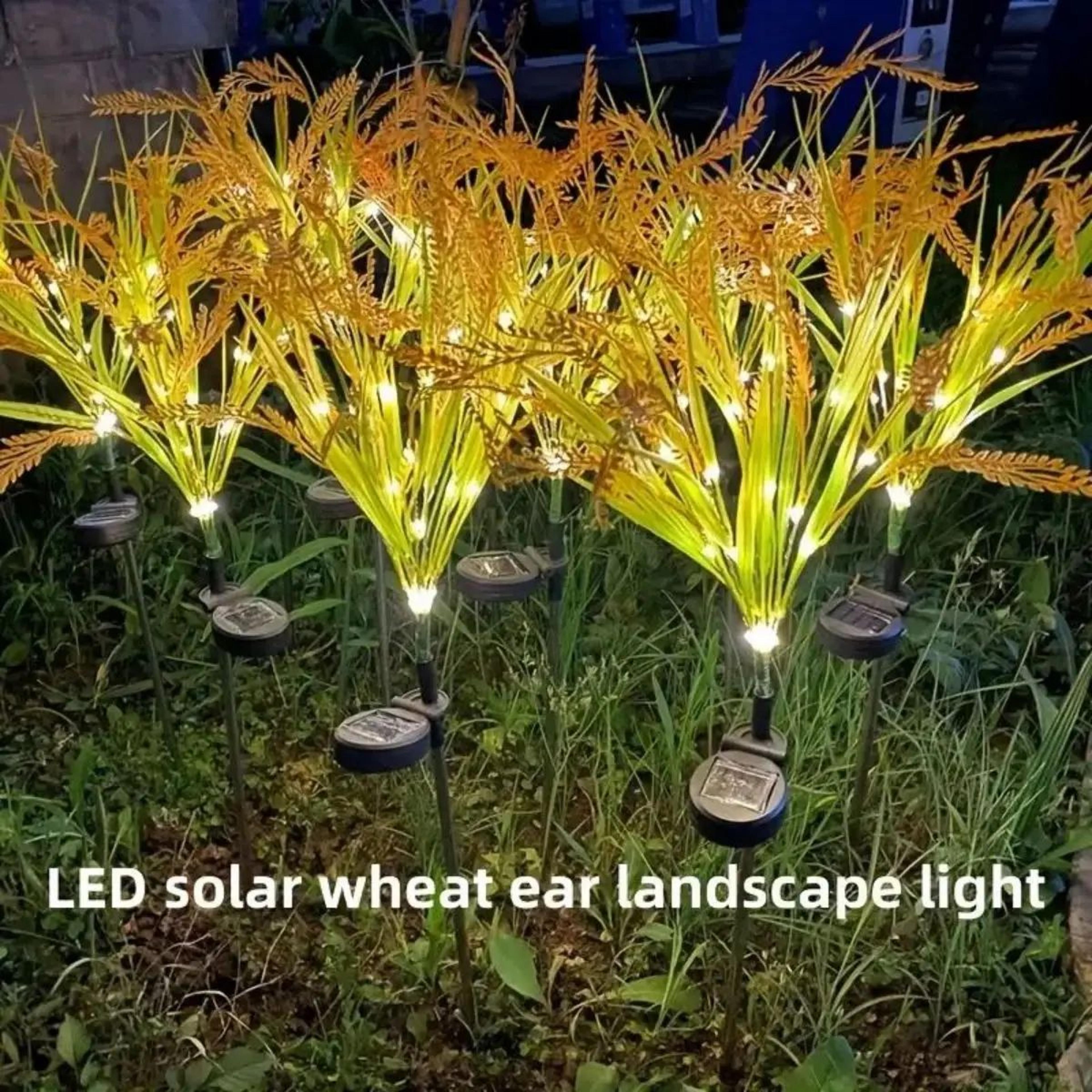 autumn wheat solar led pathway lights