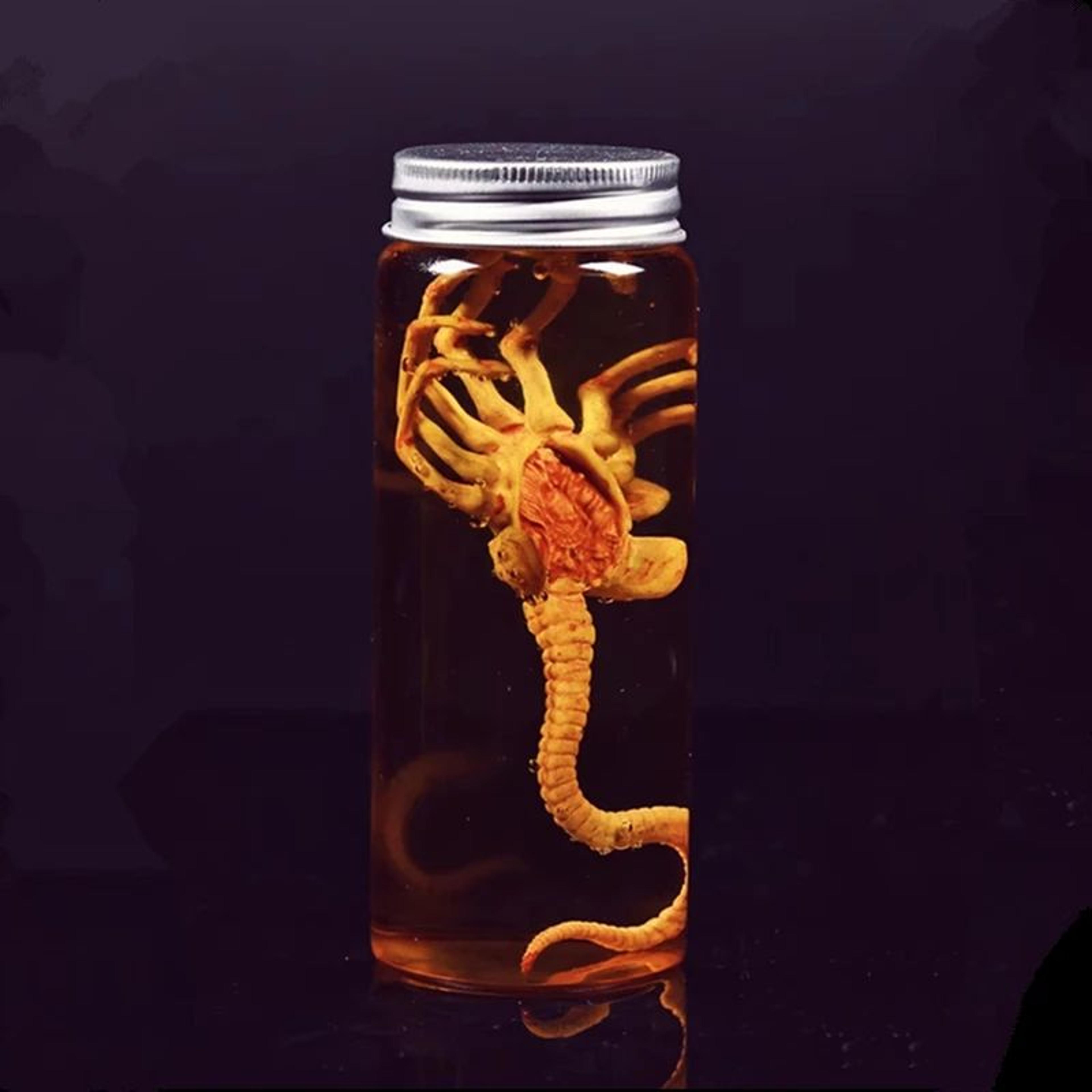xenomorph alien specimen jar prop replica