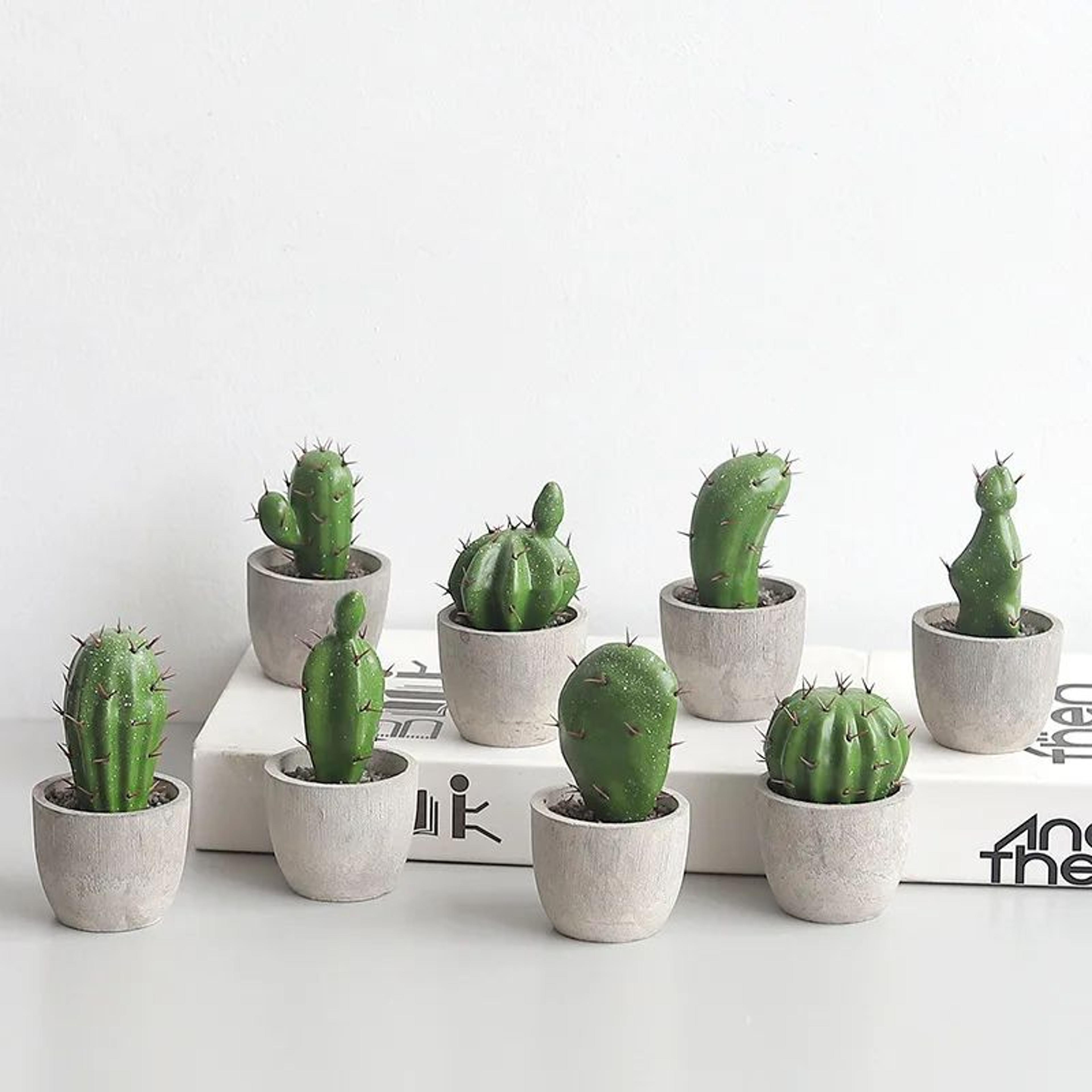 artificial cactus ball potted plant decor