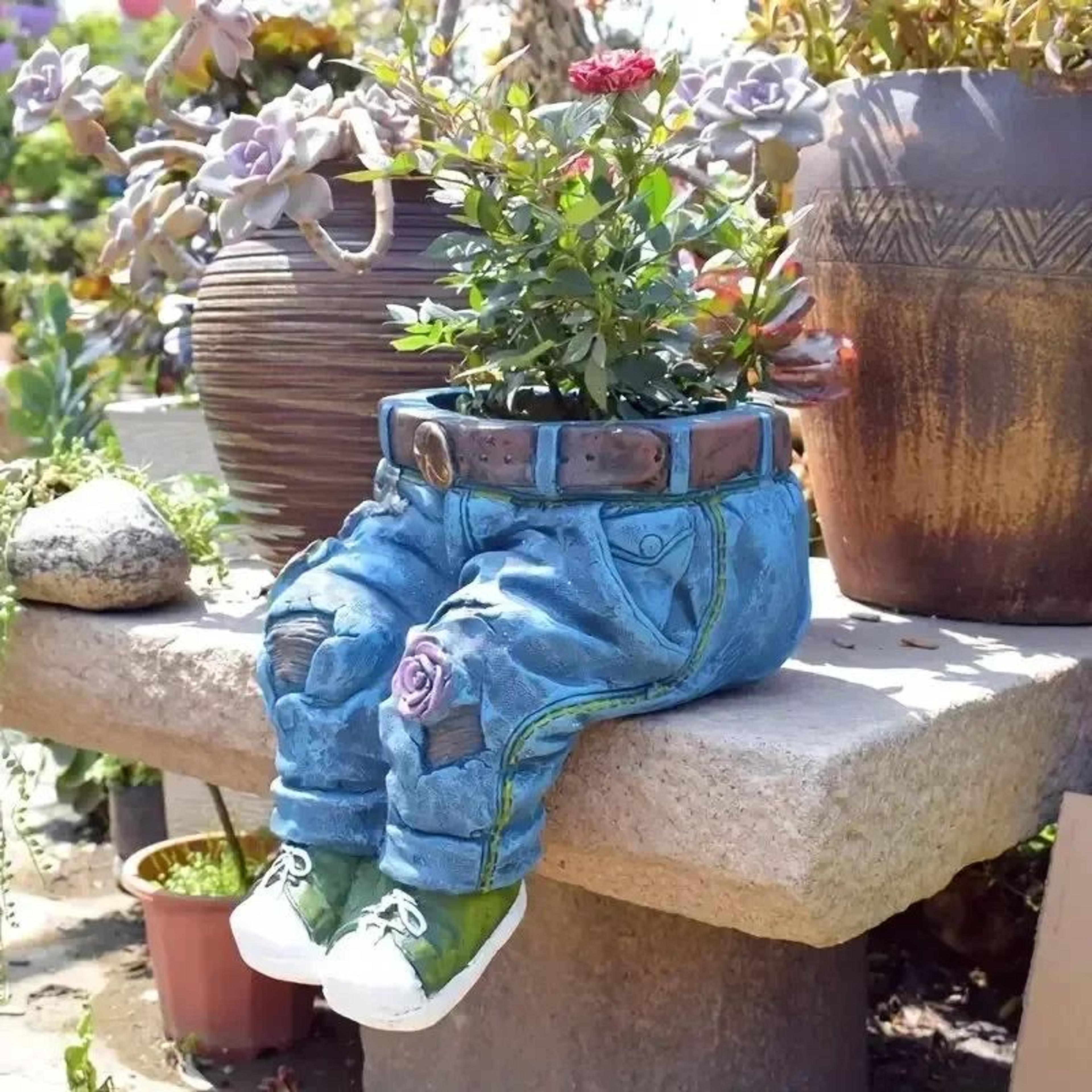 jeans pants succulent flower planter