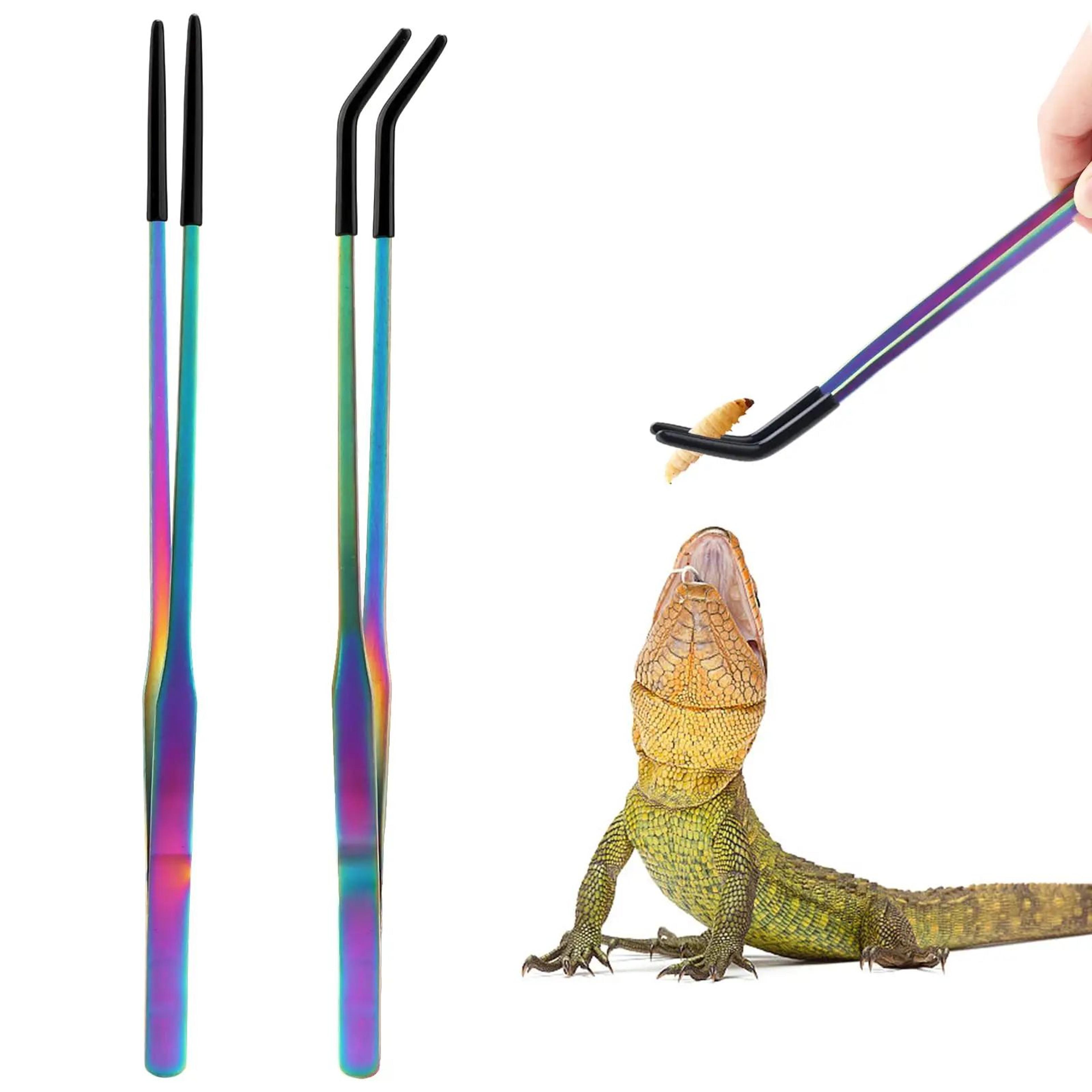 stainless steel reptile feeding tongs with rubber tips