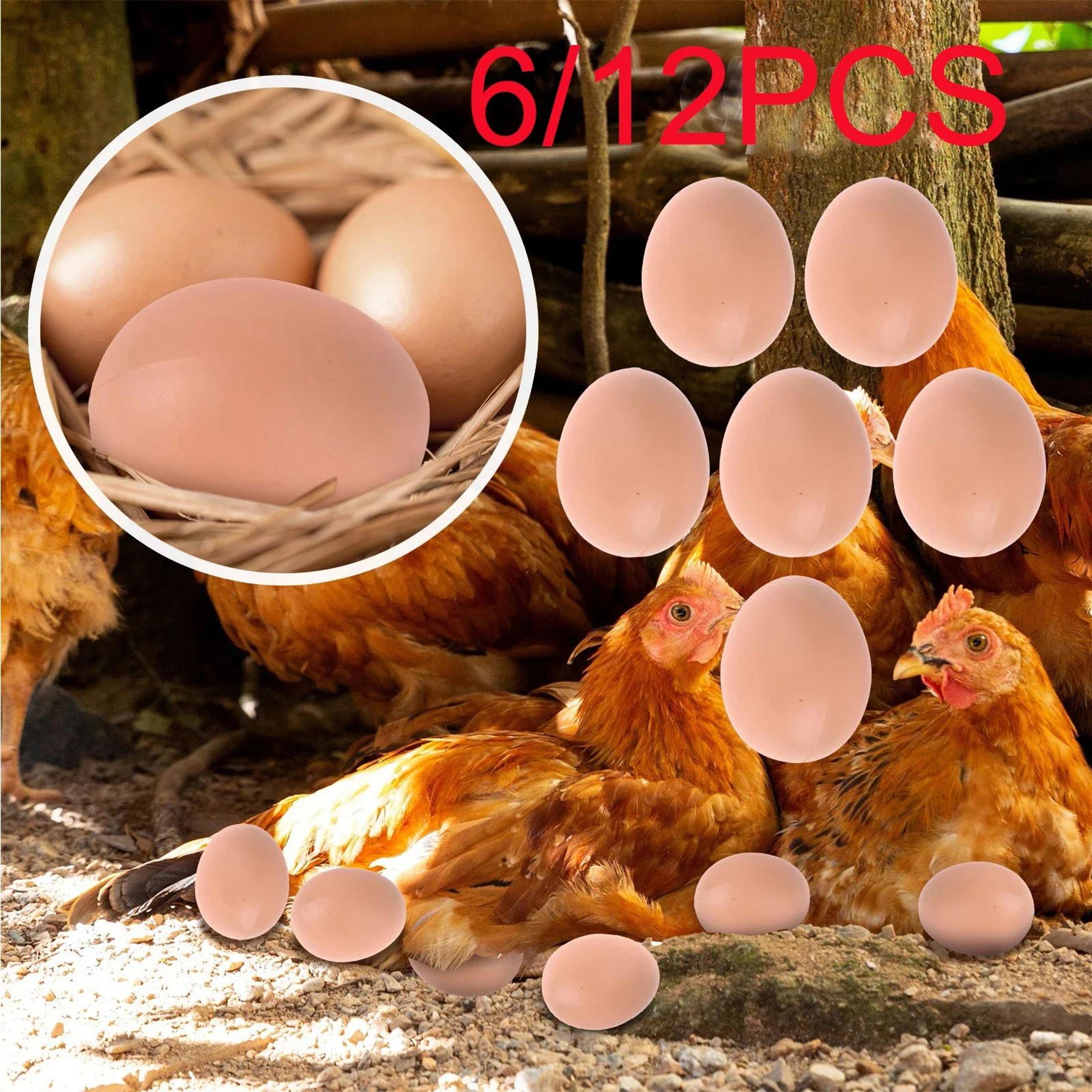 6 or 12 piece plastic fake nest eggs for chickens