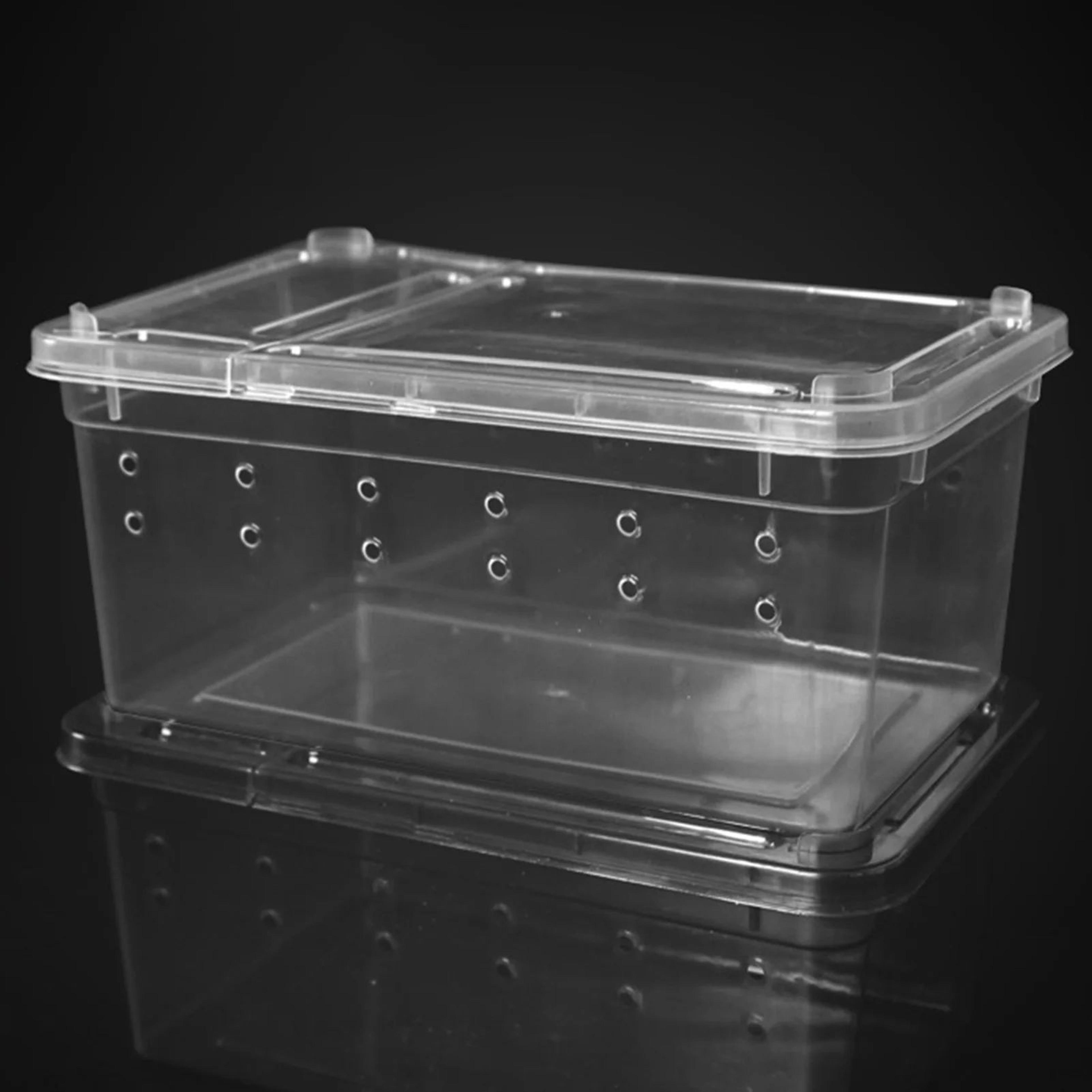 reptile breeding box habitat for lizards geckos and insects