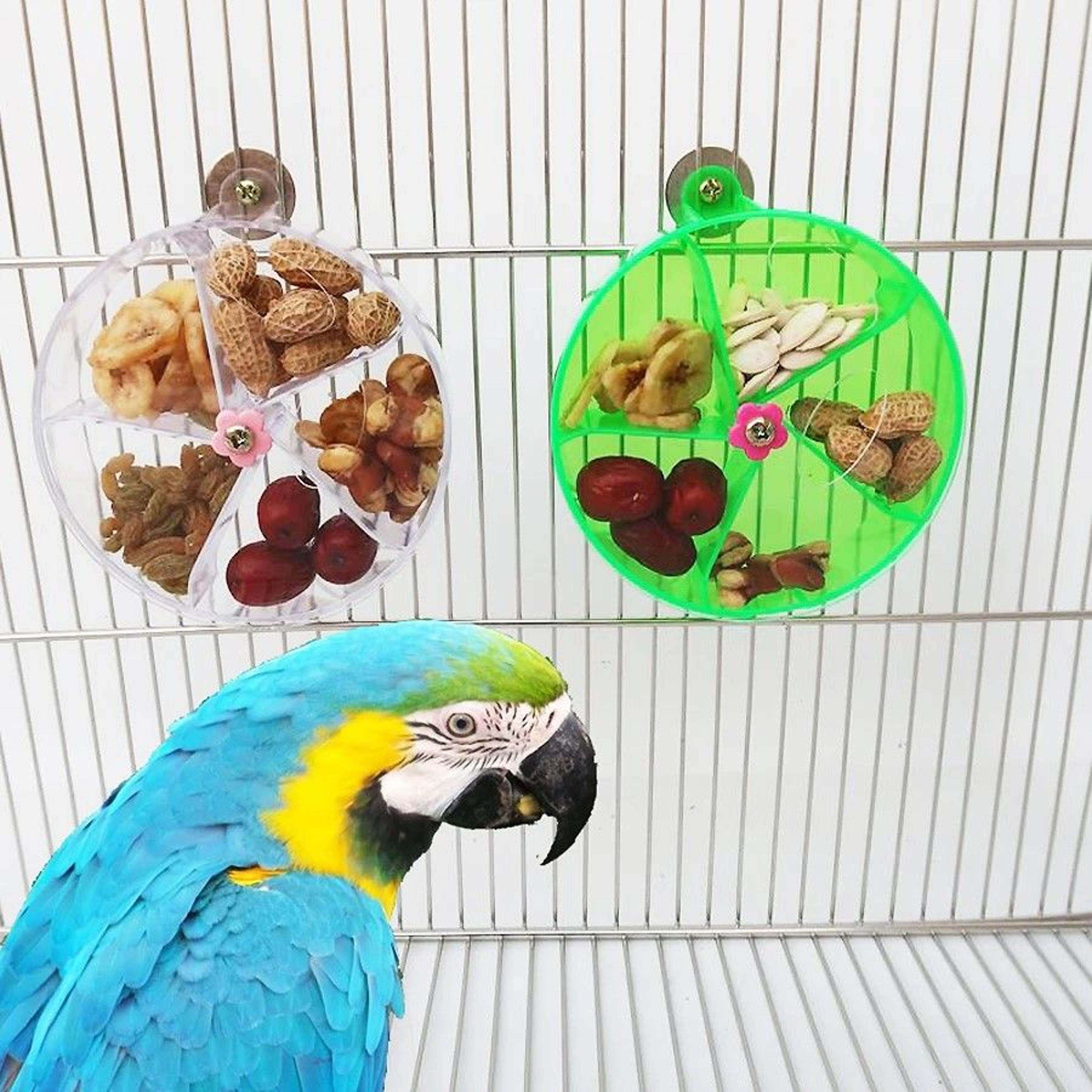 ultimate foraging wheel bird toy – rotate & feed parrot activity kit