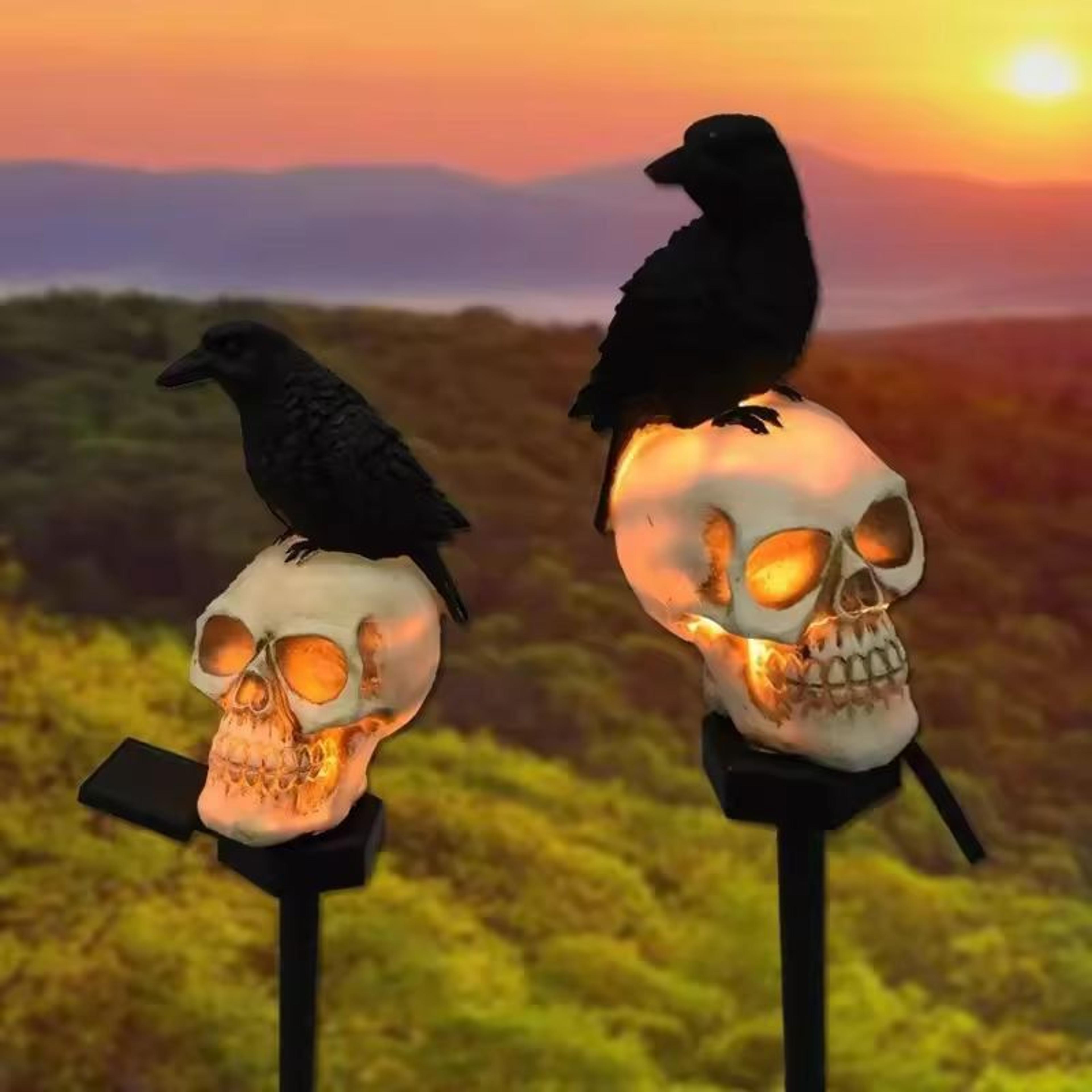 spine-chilling outdoor skeleton & ghost halloween light set
