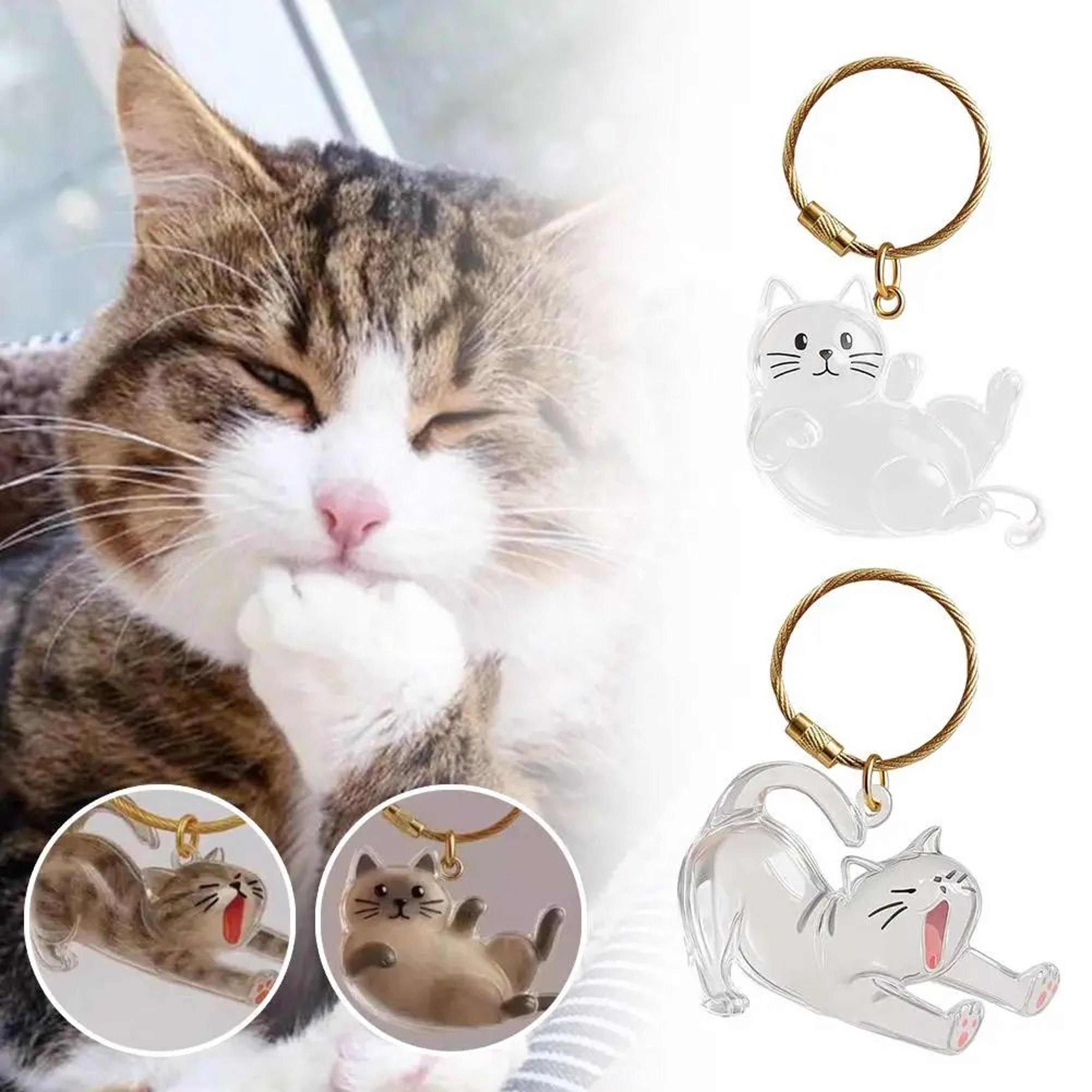 transparent pet hair keepsake capsule keychain – sentimental cat & dog hair storage box