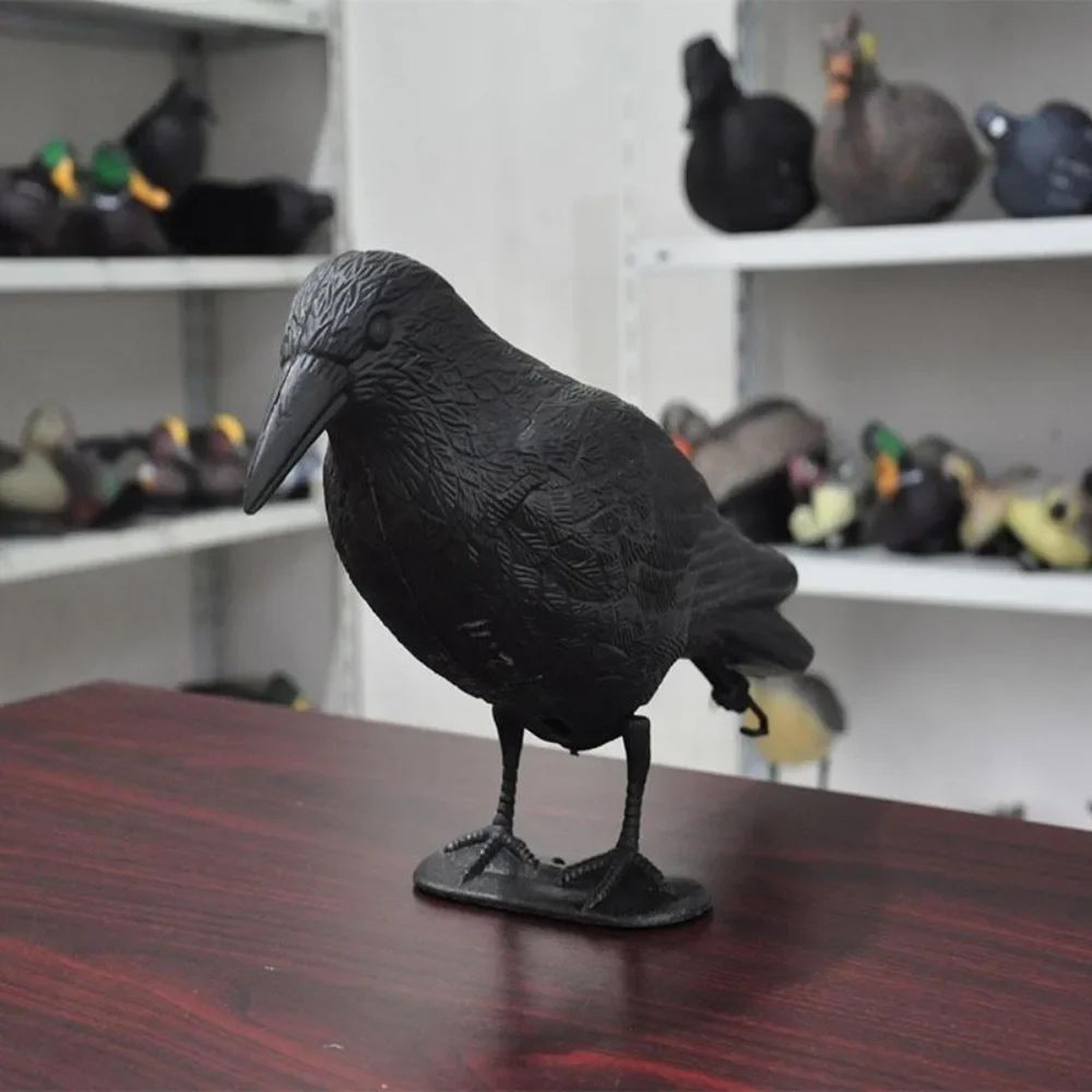 realistic black raven crow decoy bird repellent for garden and balcony pigeon deterrent