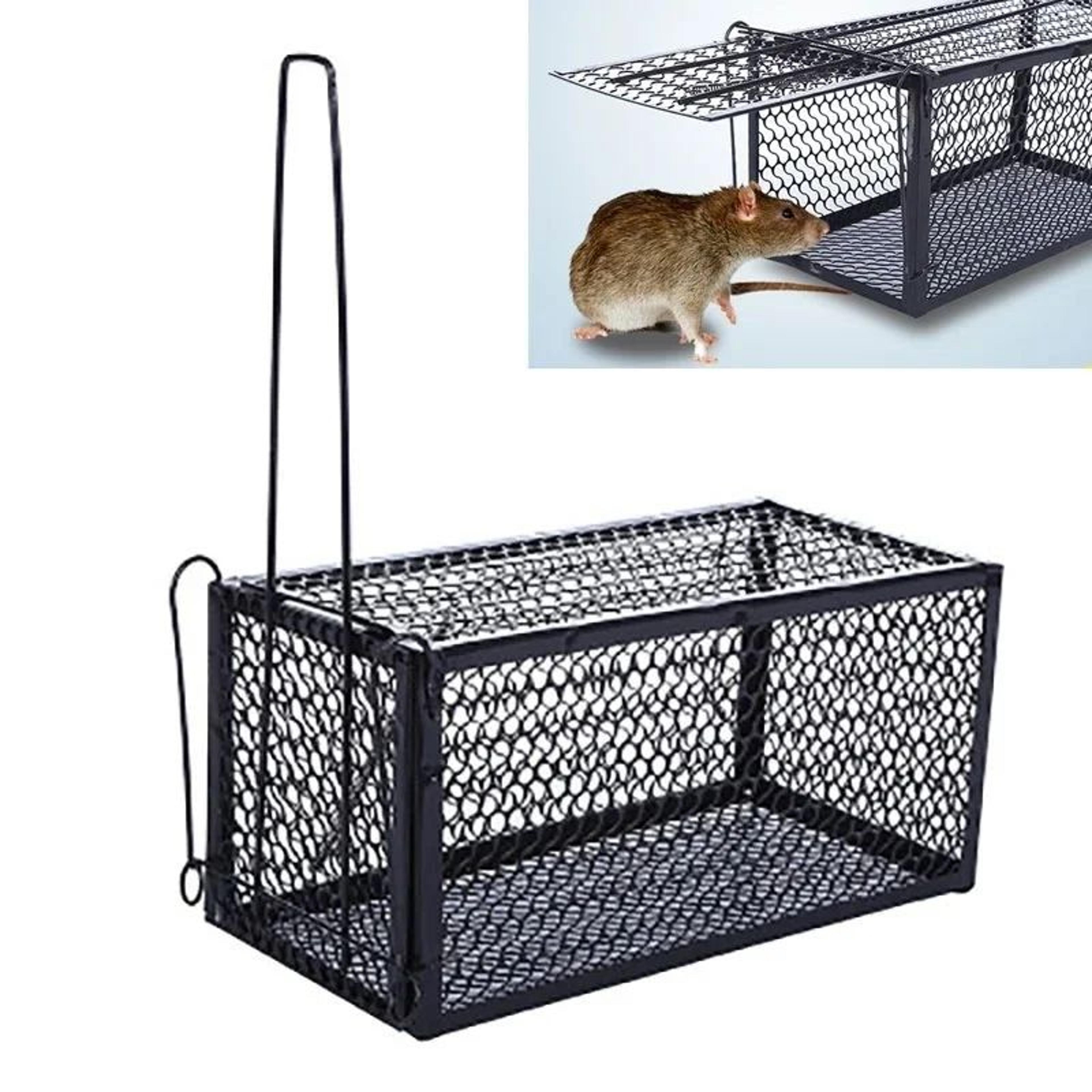 self-locking humane metal mouse trap cage - reusable indoor/outdoor rat catcher with secure iron mesh