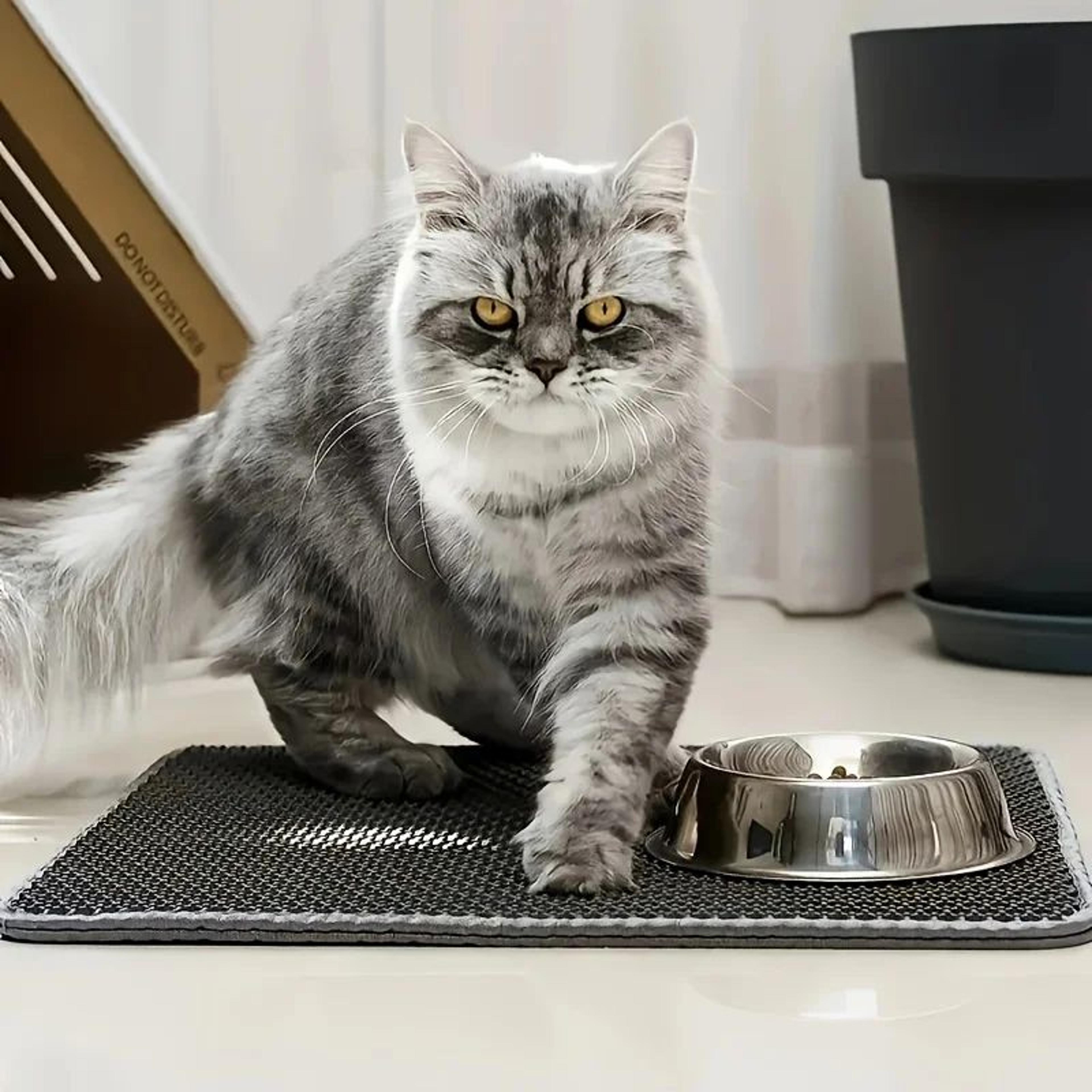 extra large double layer cat litter mat waterproof litter trapping litter box mat