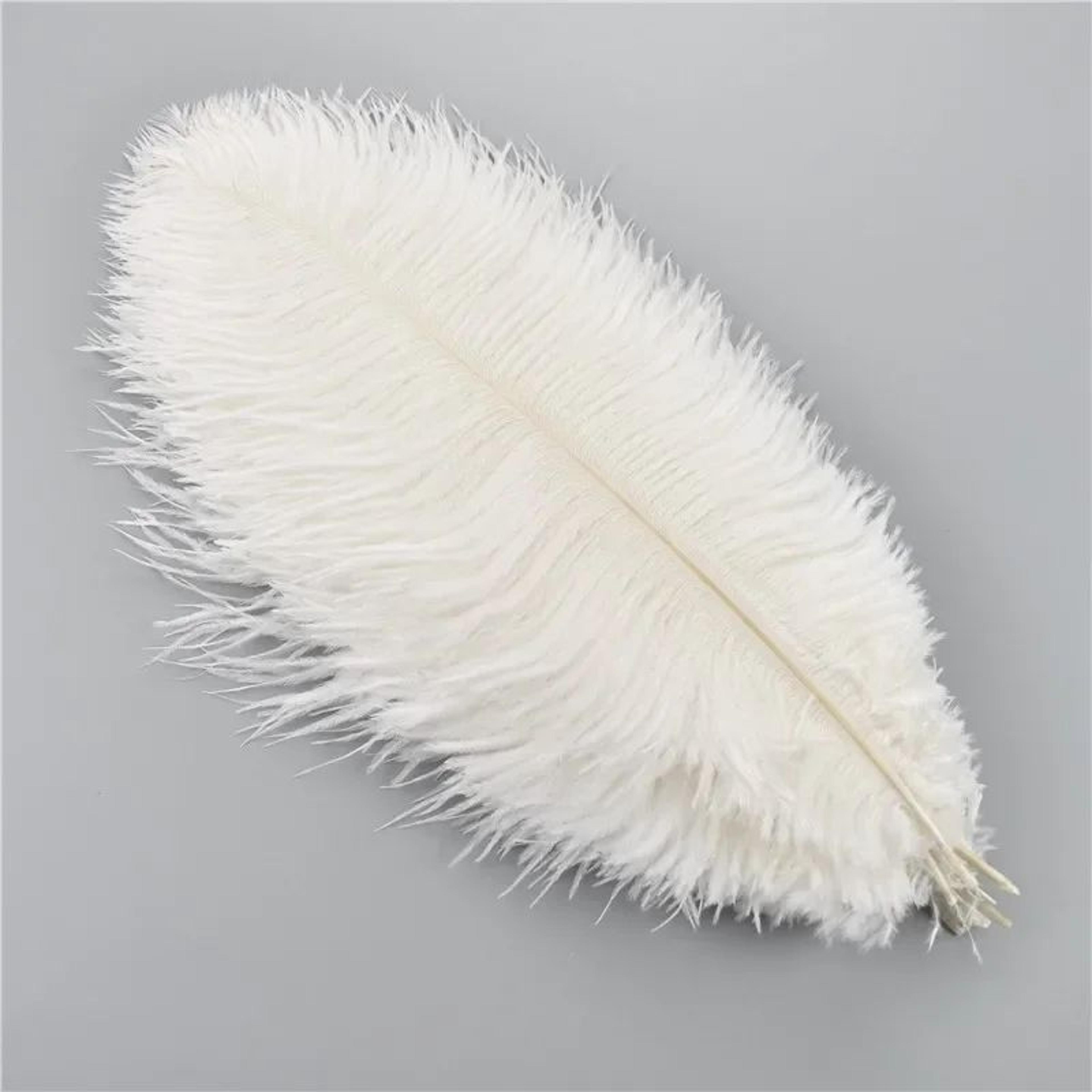10-pack colored ostrich feathers for crafts & wedding centerpieces (6–20in)